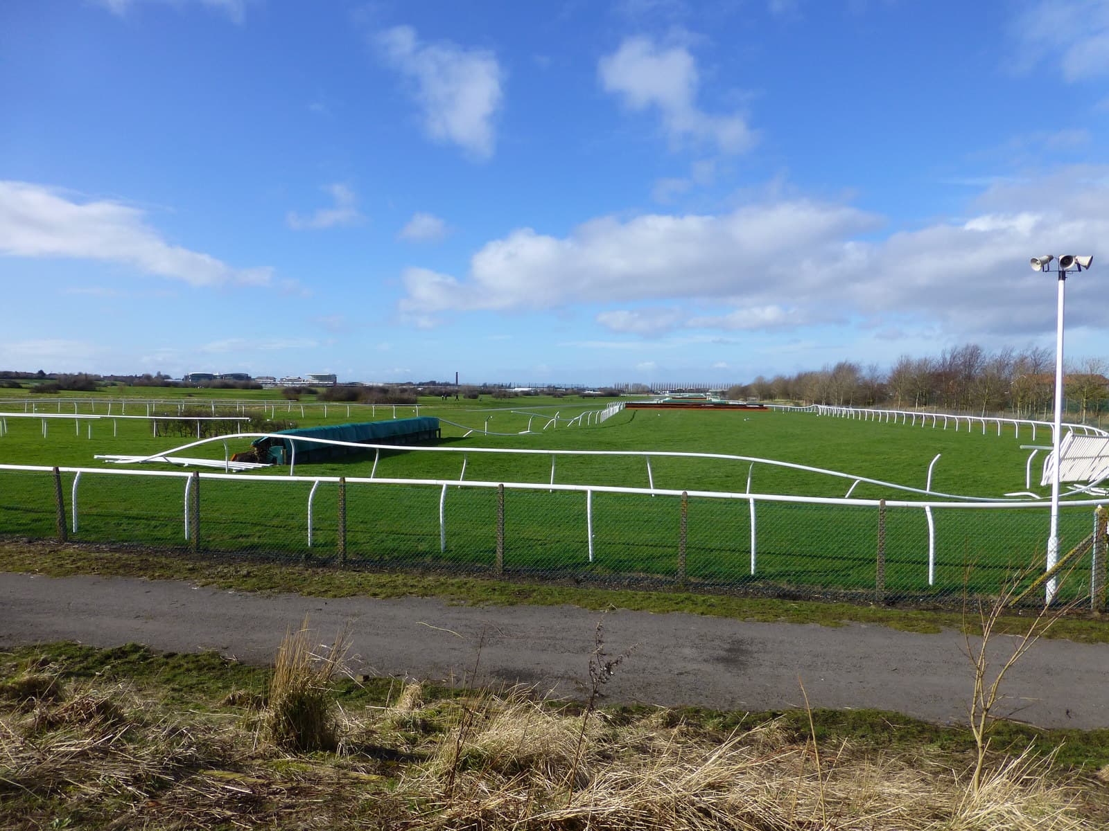 The Aintree course near Becher's Brook on a bright winter day, the fence dressed in its green cover.