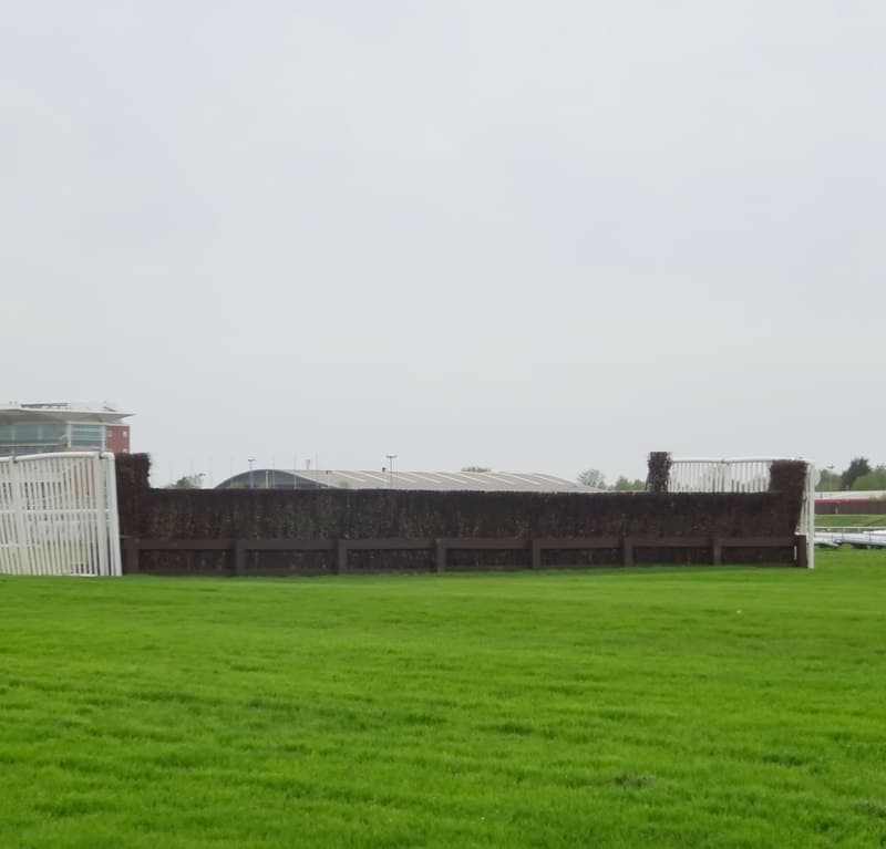 A birch steeplechase fence on the Aintree National course, with the grandstands on the horizon beyond.
