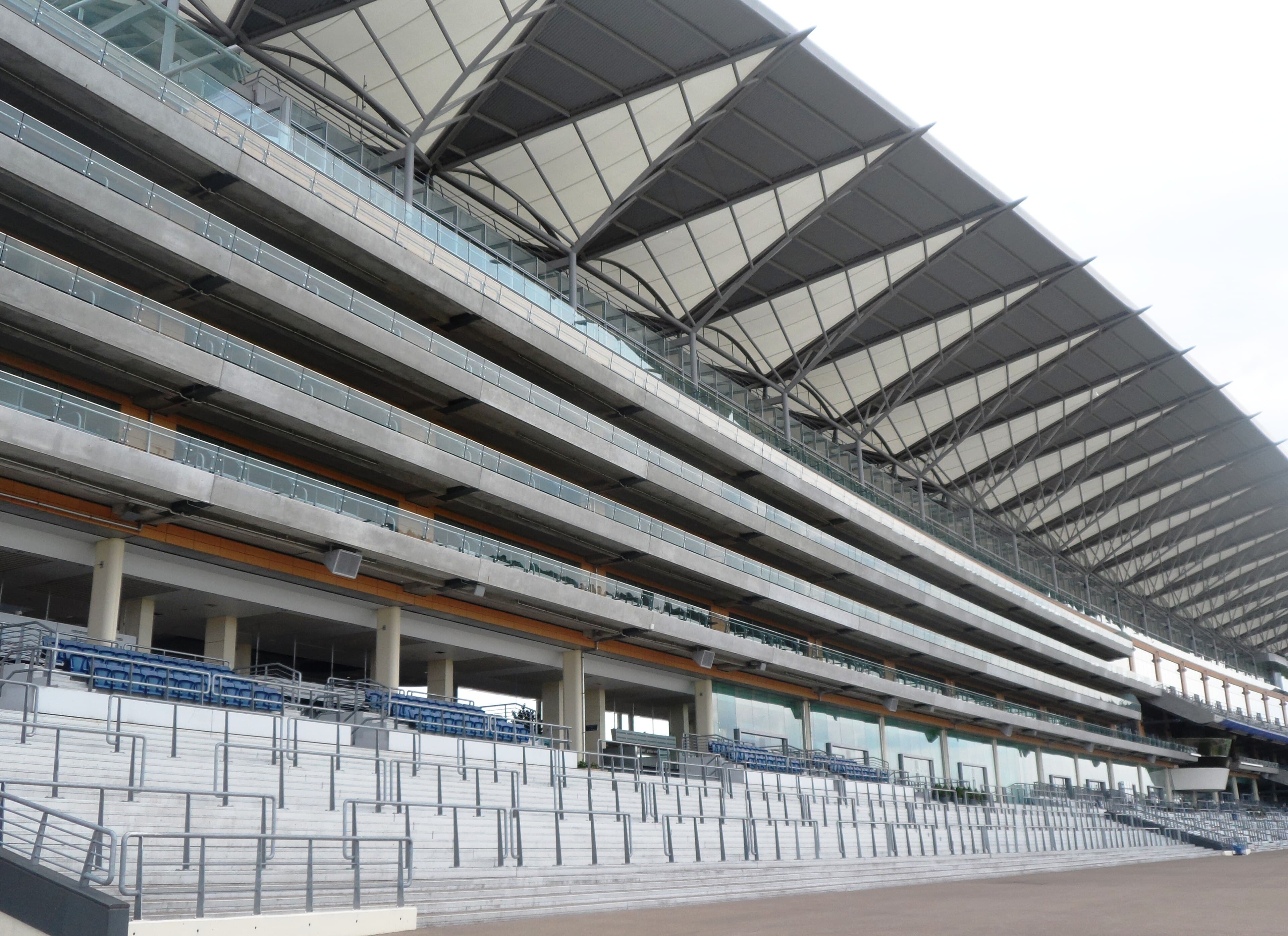 Empty tiers of seating under the sweeping roof of the Ascot grandstand.