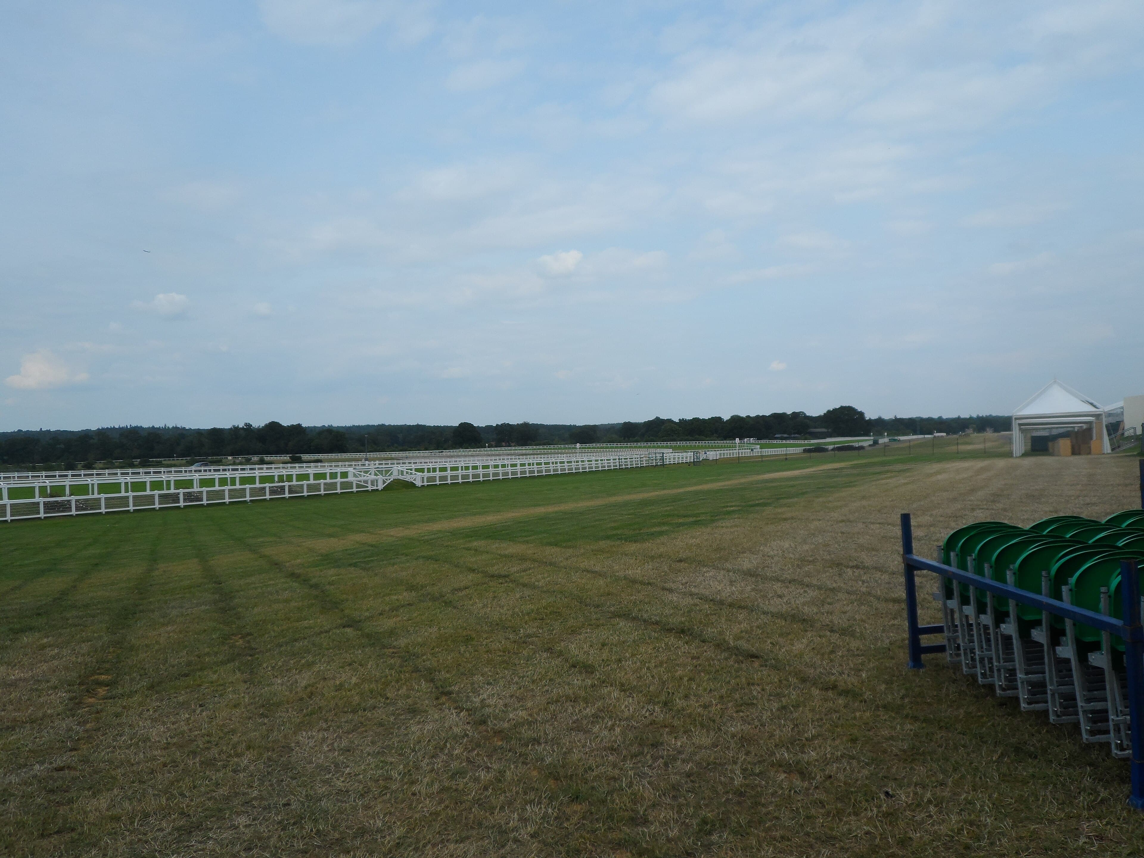 The wide straight at Ascot, freshly mown, the running rail stretching into the distance.
