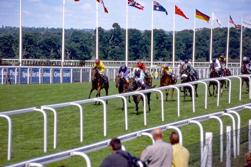 A flat field racing up the straight at Ascot beneath a row of international flags.