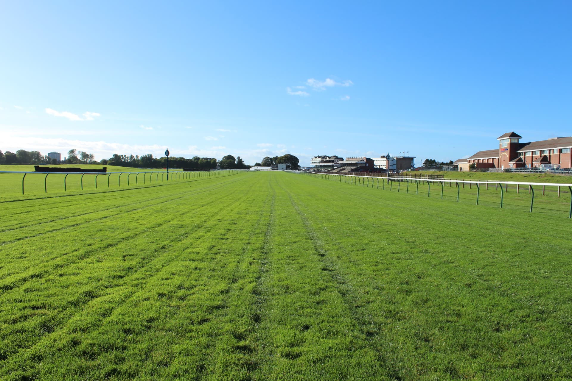 The home straight at Ayr running up towards the stands under a clear autumn sky.