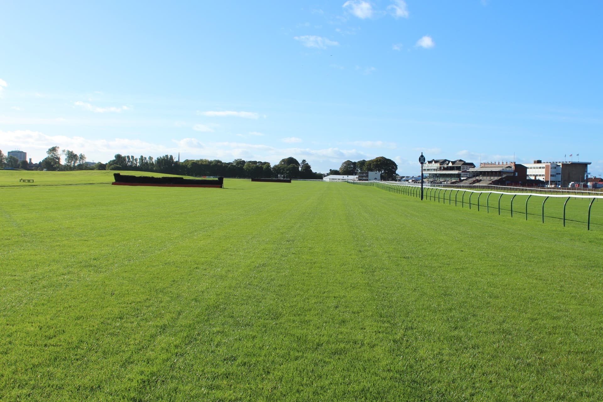 A birch chase fence on the Ayr jumps course, with the grandstands away to the right.