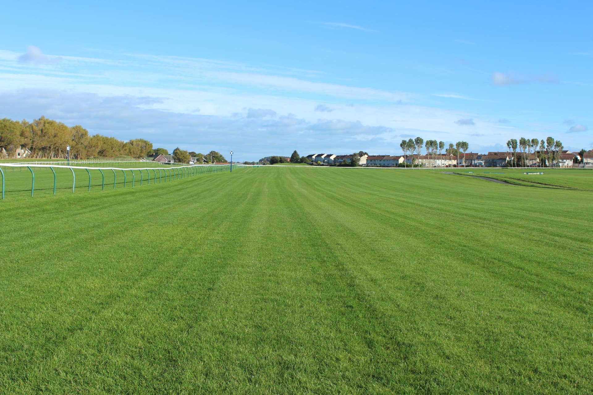 The wide sweep of the Ayr course in autumn sunshine, the rooftops of the town along the far side.