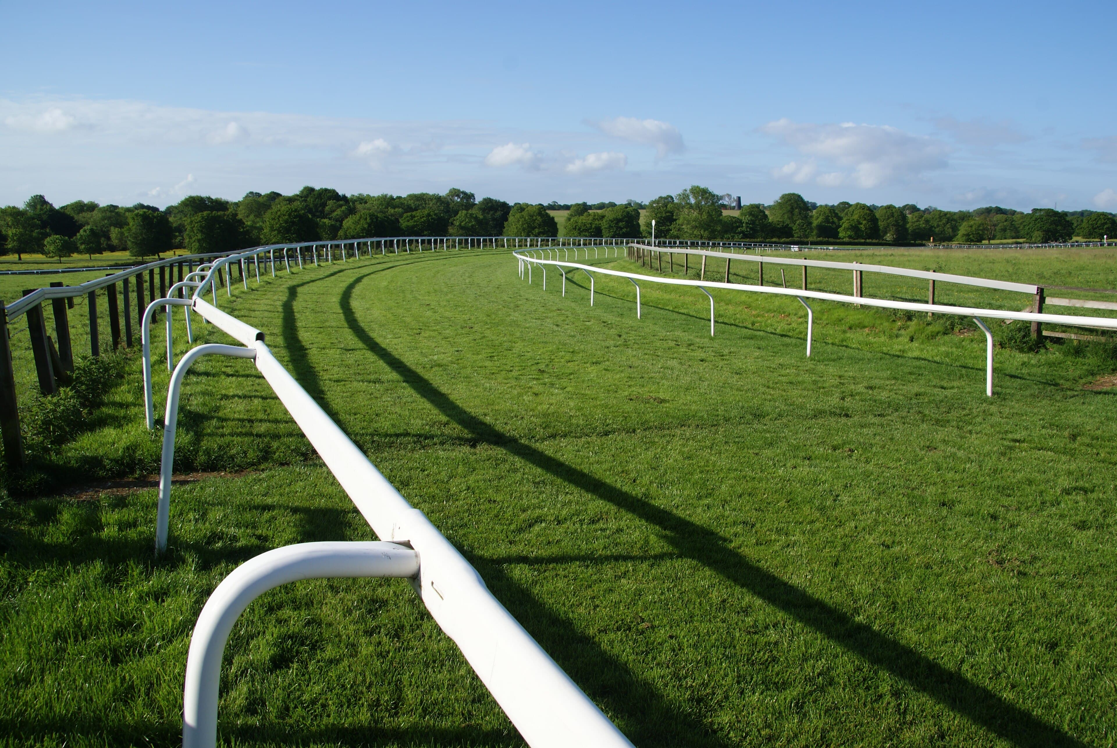 The bend at Beverley in low sun, the white rail throwing long shadows across the turf.