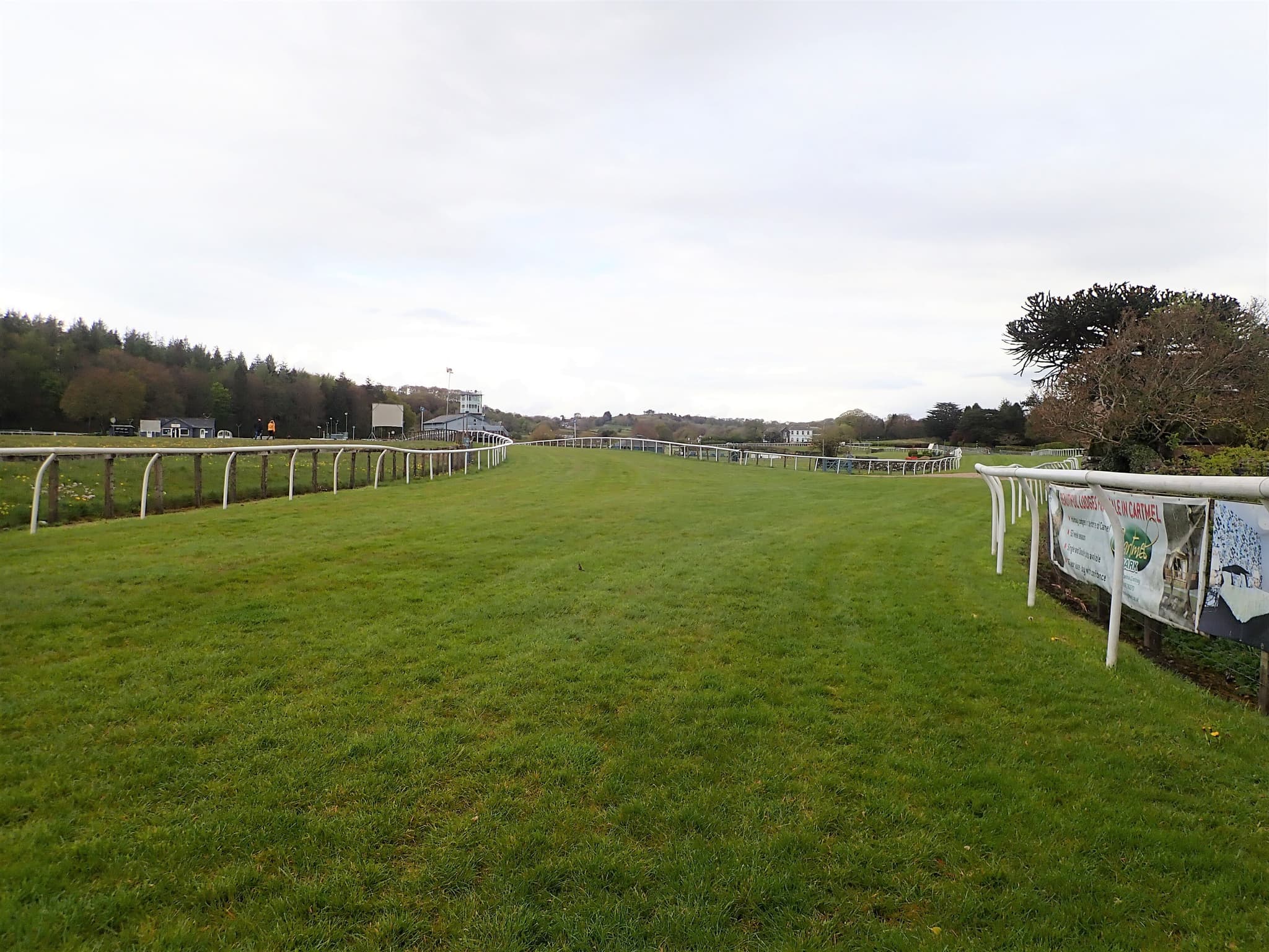 The long straight at Cartmel in autumn, sponsor banners hanging along the far rail.