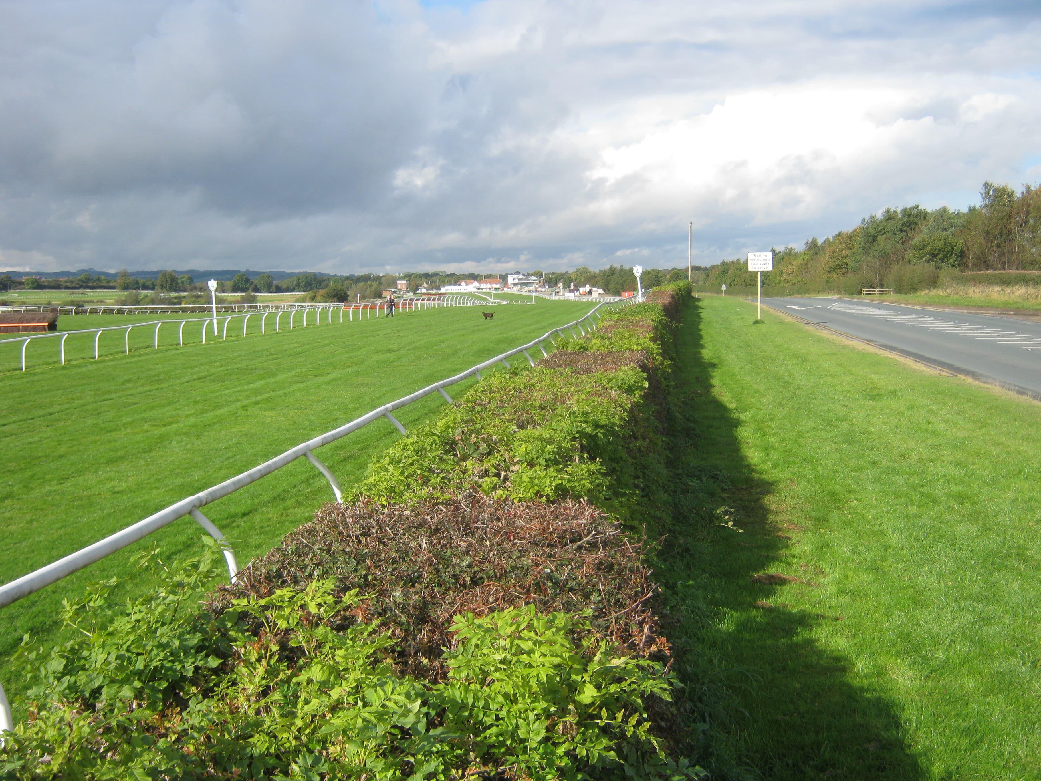 The rail along the extended chute into the Catterick straight, with the stands in the distance on an autumn afternoon.