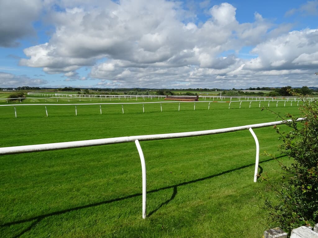 The Catterick course looking across the turf, white running rails curving away and a chase fence in the middle distance.
