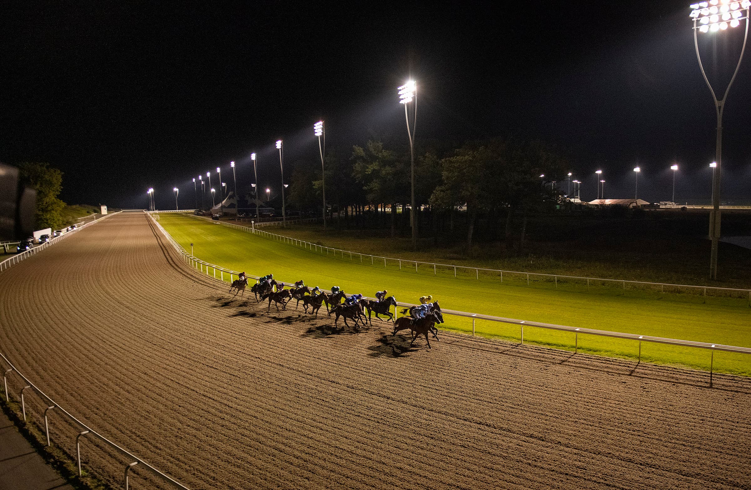 A field of runners strung out along the floodlit sand track at Chelmsford City Racecourse at night, seen from high in the stand with the turf infield to the right.