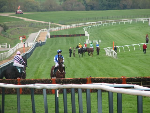 Jumps runners circling before the start at Cheltenham, a hurdle in the foreground.
