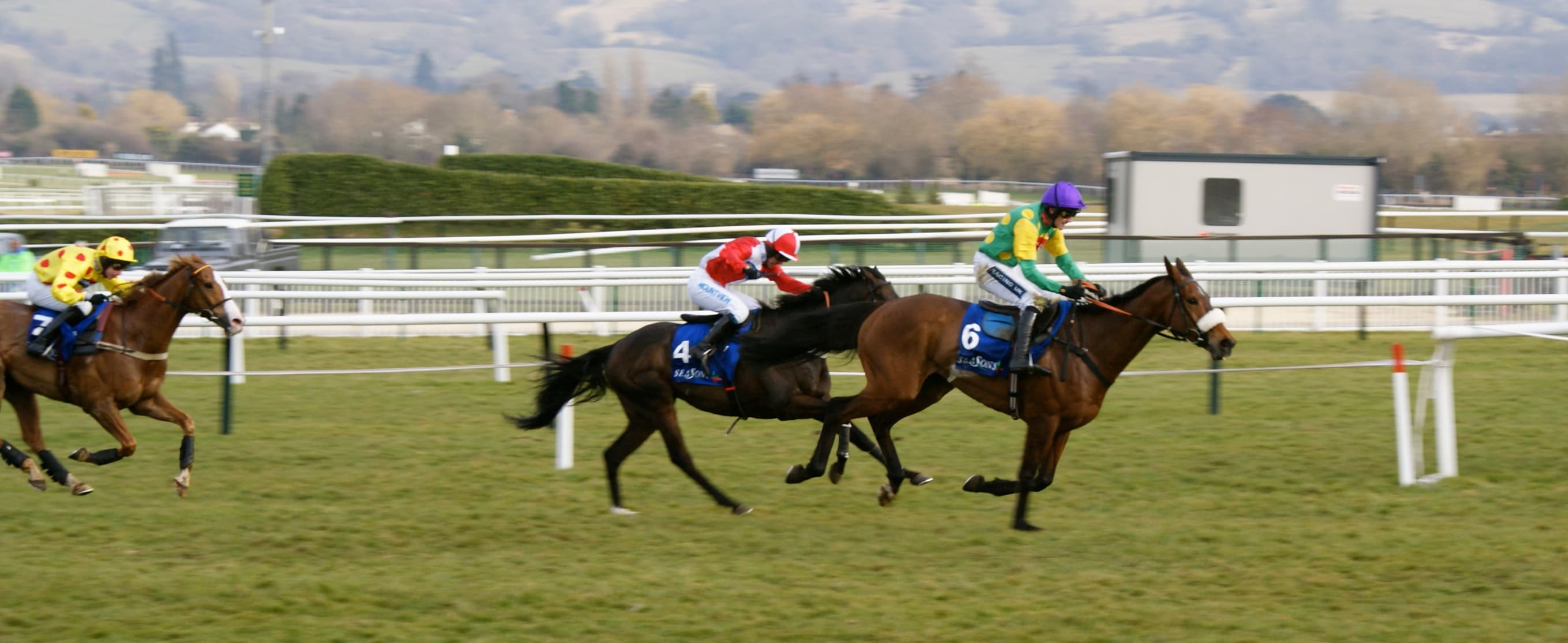 Three chasers stretch out on the run-in at Cheltenham with the Cotswold hills behind.