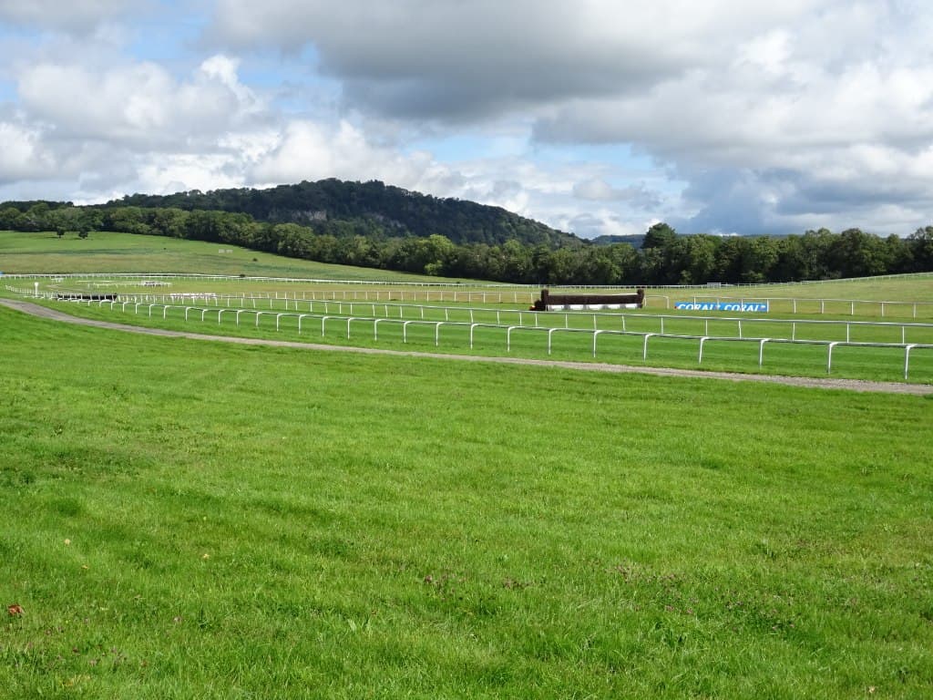 A birch steeplechase fence on the turf at Chepstow with the wooded ridge of Piercefield behind.