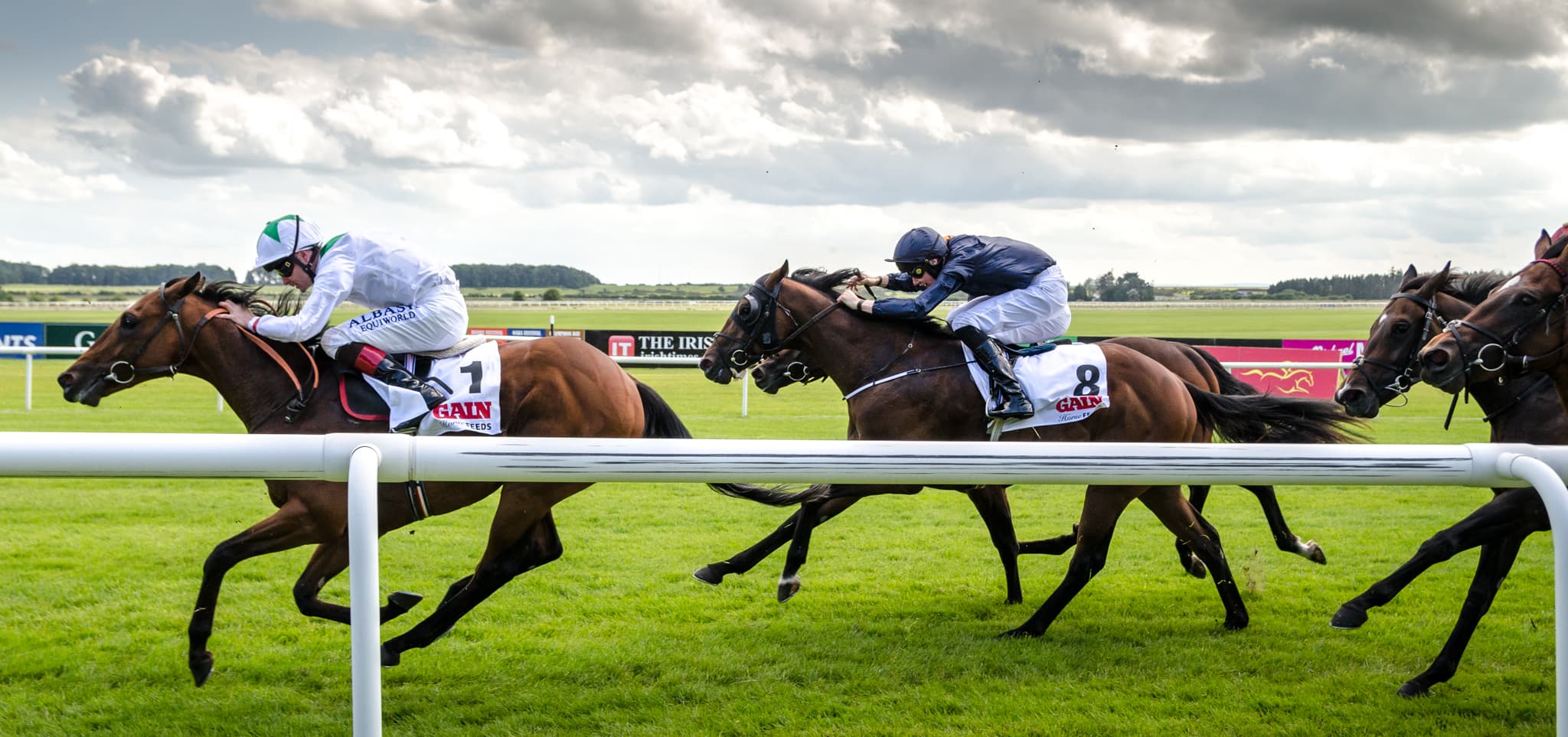 Two runners fighting out a finish on the turf at the Curragh on Irish Derby day, a third pair closing behind.