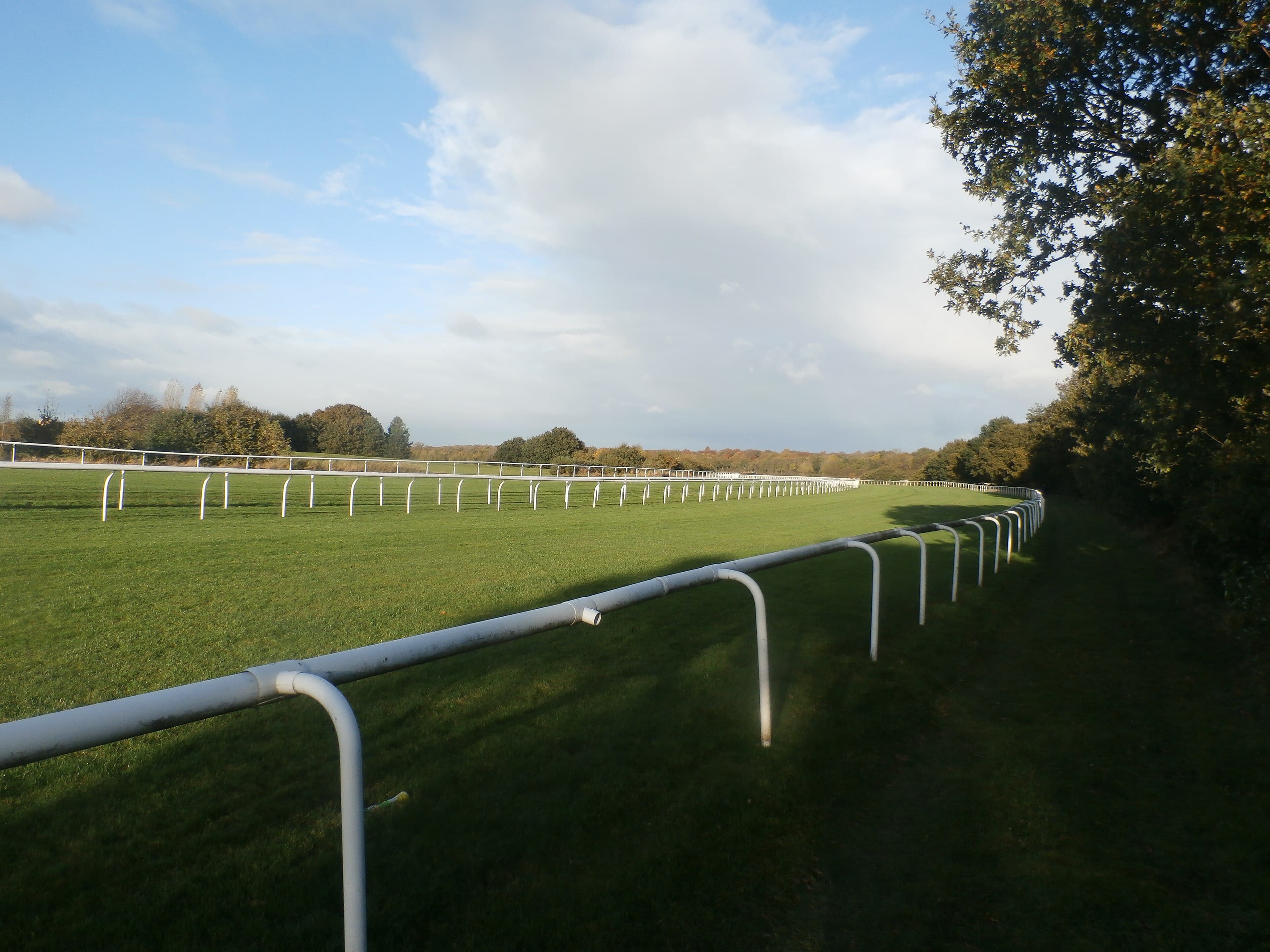 The rail curving away round Doncaster's Town Moor course in low autumn sunshine.