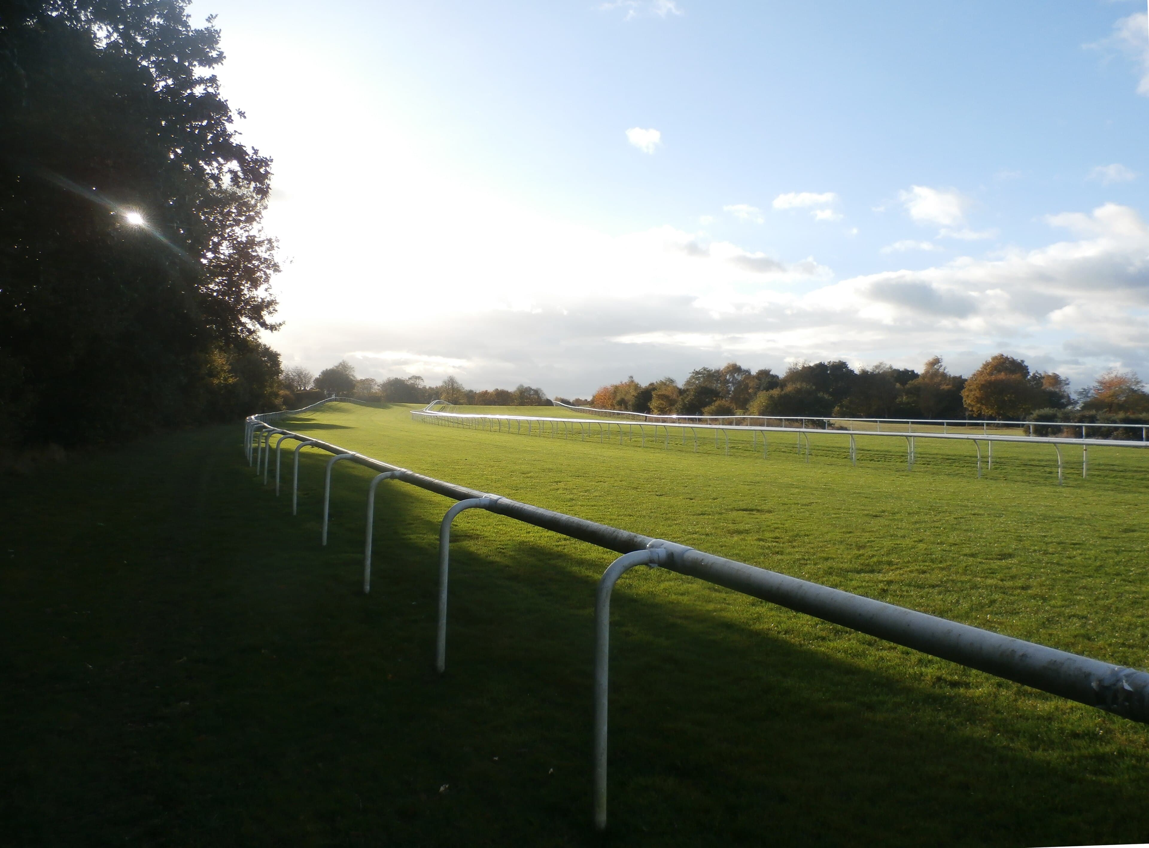 The Hill at Doncaster, the rail sweeping down across the Town Moor towards the far trees.