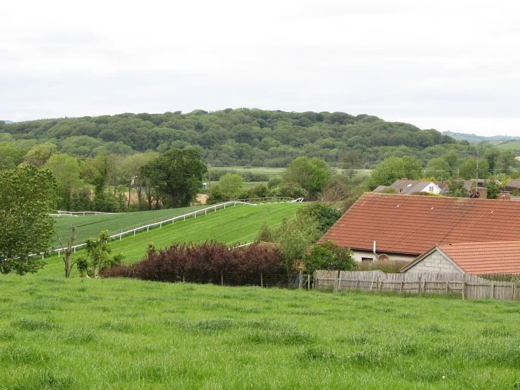 The undulating turf of Downpatrick racecourse dropping away between the rails, with woodland on the ridge beyond.