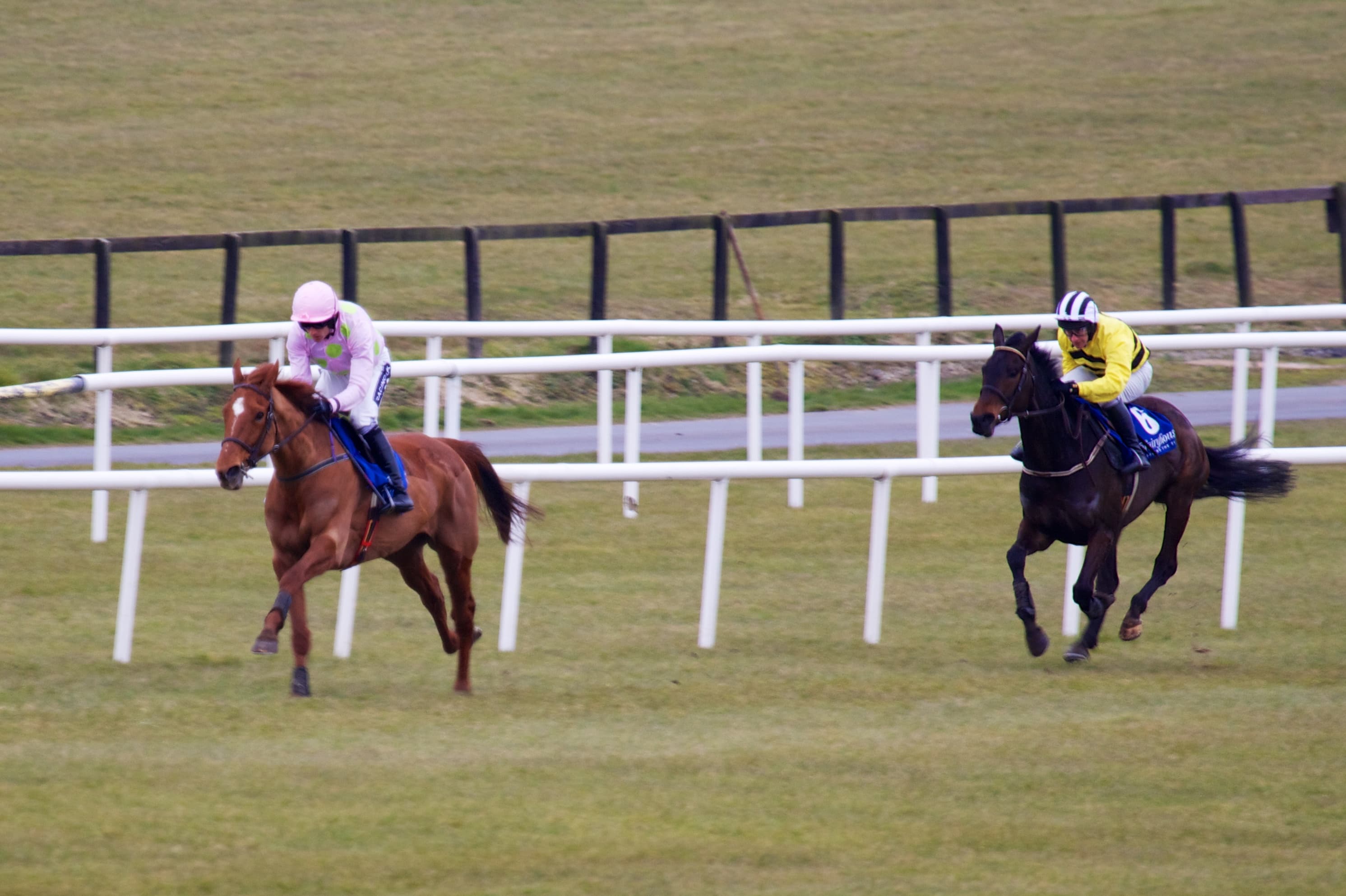 Two runners strung out on the turf at Fairyhouse, the leader in pink silks clear of a chaser in yellow along the white rail.