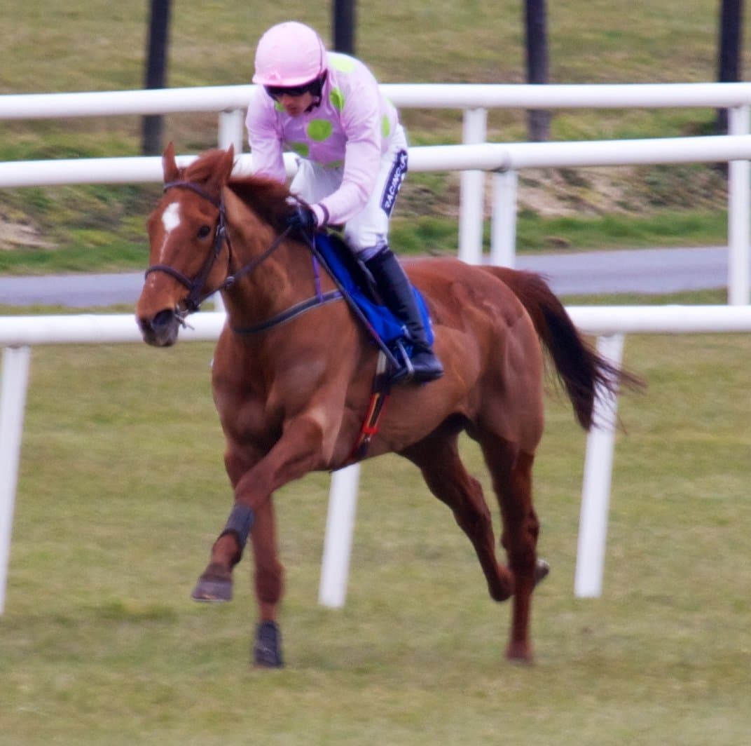 A single runner in pink silks galloping on the turf at Fairyhouse beside the white rail.