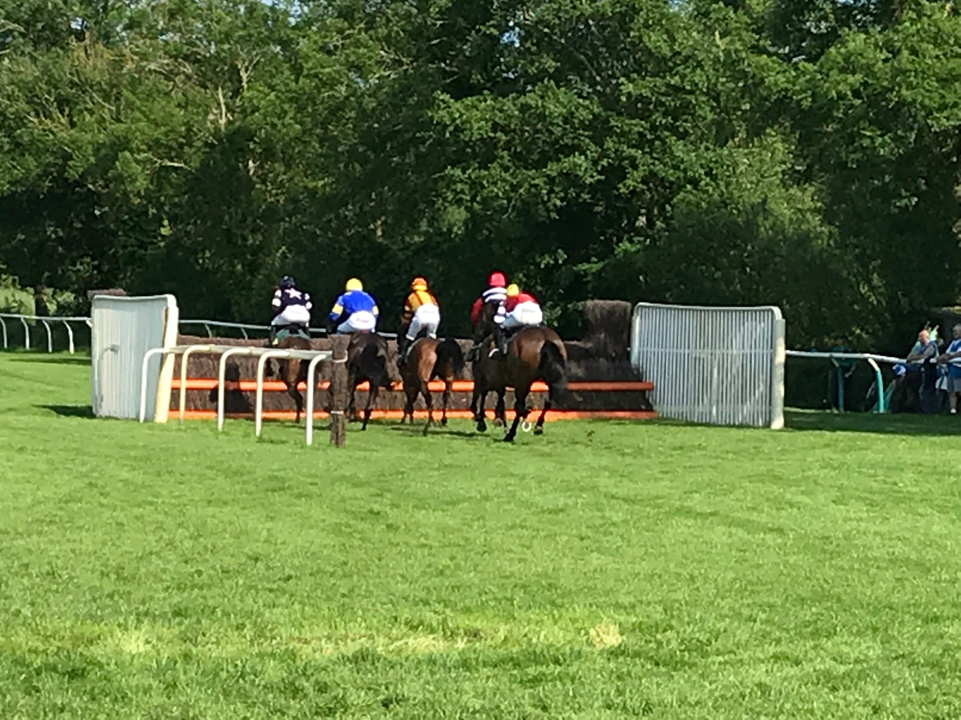 Five runners seen from behind as they meet a birch chase fence at Fakenham on a bright summer day.