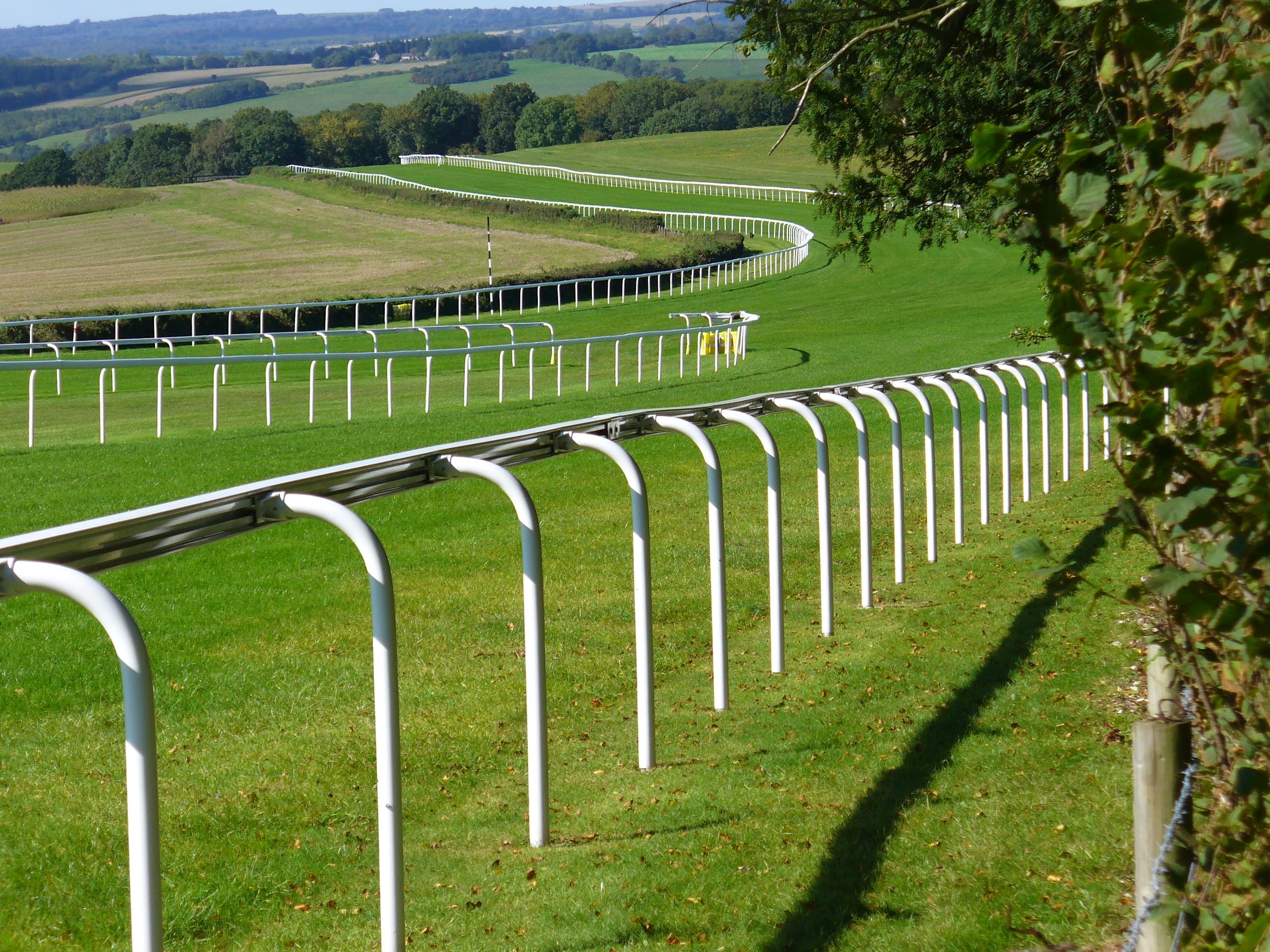 The Goodwood rail curving along the top of the downs, with the Sussex countryside falling away beyond.