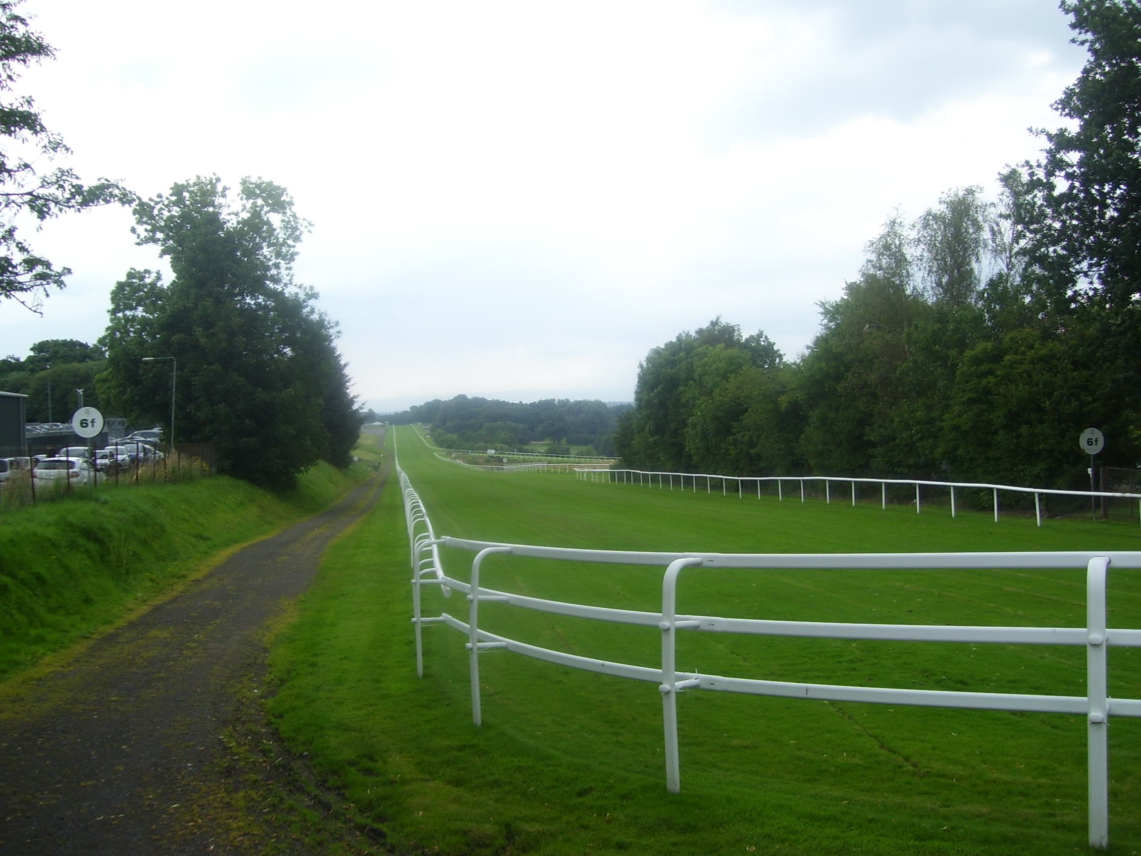 The straight at Hamilton Park racecourse on a misty morning, white rails running away between the trees.