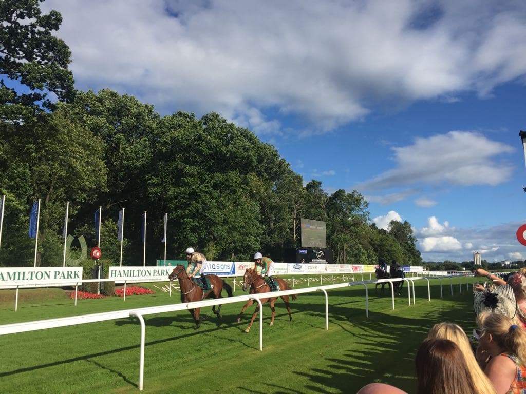 Two runners past the post at Hamilton Park on a summer evening, watched by racegoers at the rail.