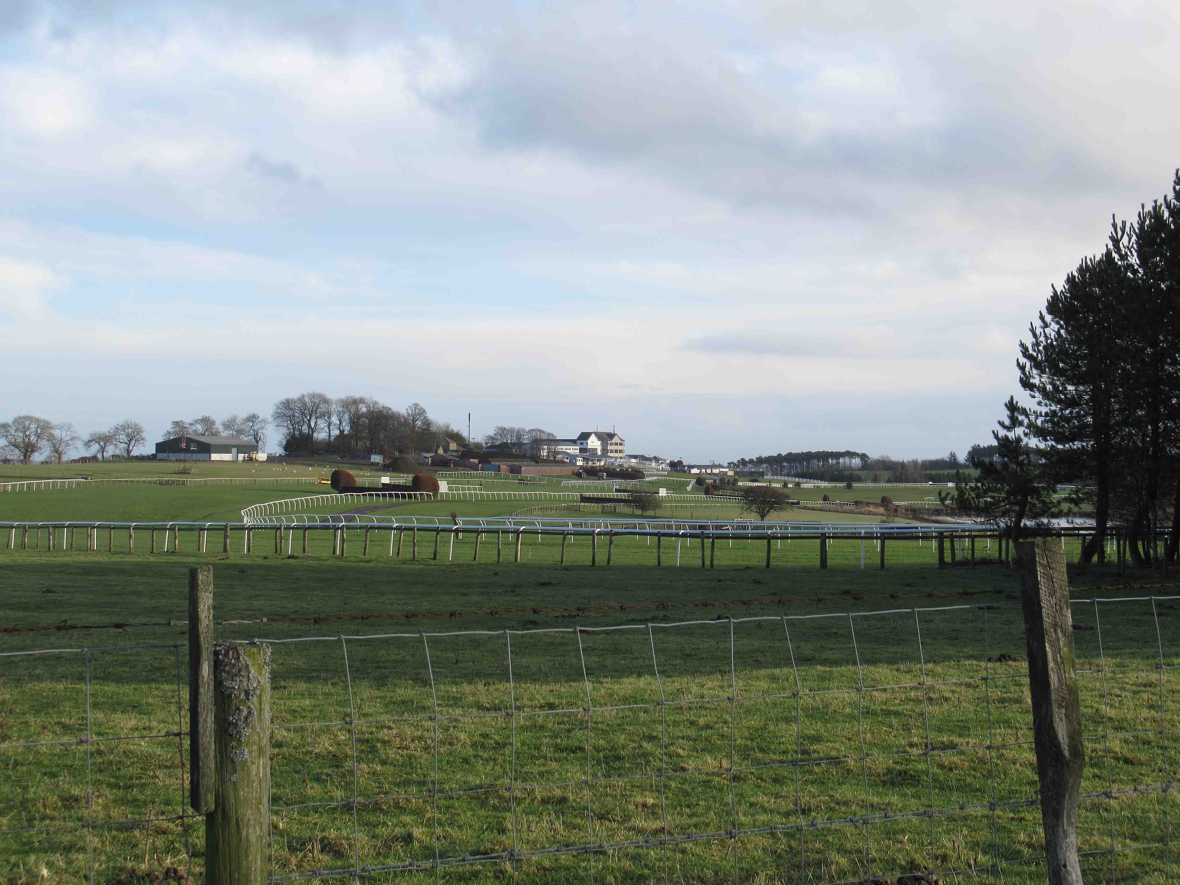 Hexham Racecourse seen from a field outside the track, with the running rails curving away, birch chase fences beside the bend and the white grandstand on the skyline.