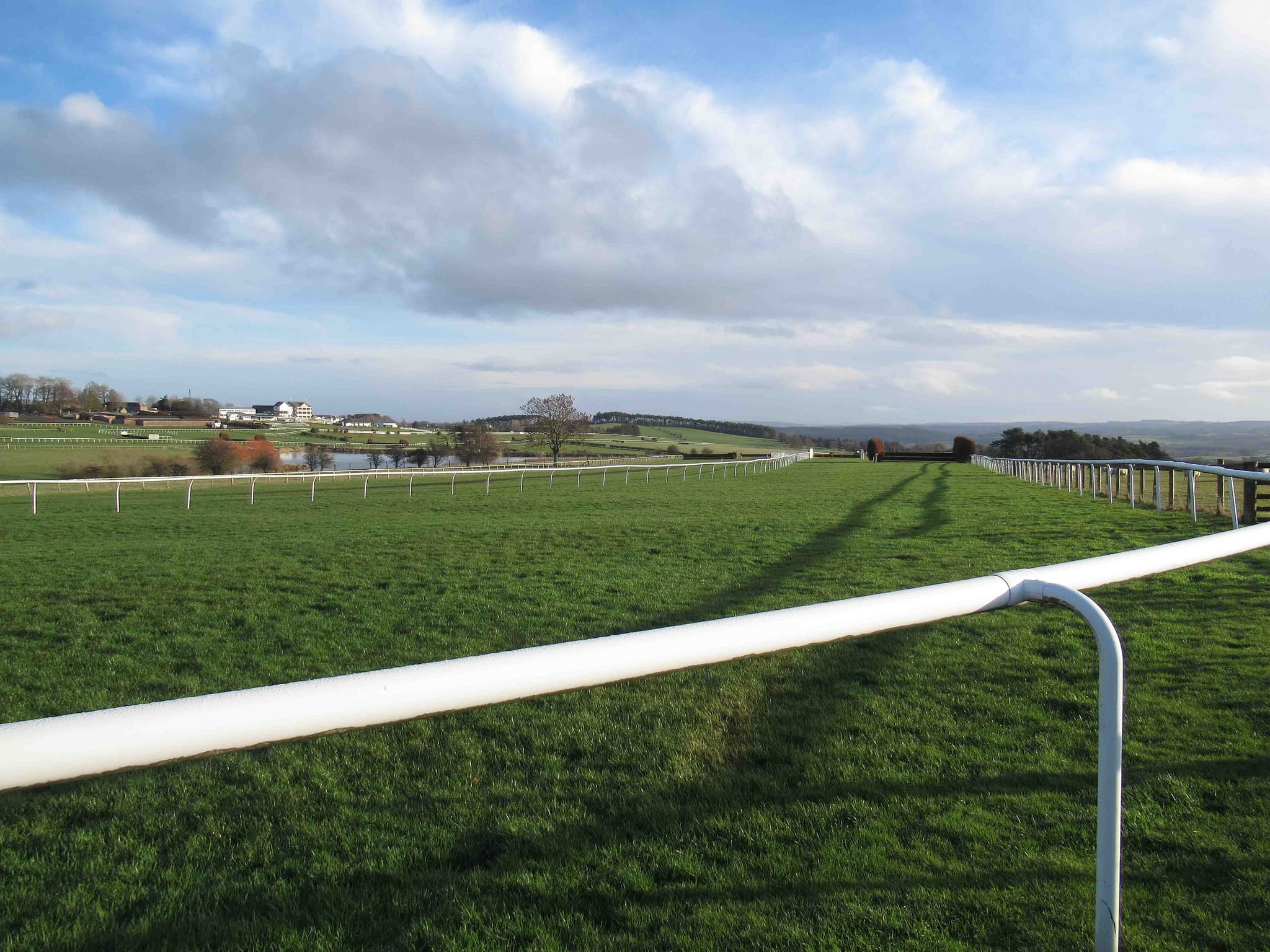 The white running rail at Hexham Racecourse curving away across close-mown turf, with birch fences by the bend and the grandstand and Tyne valley beyond.