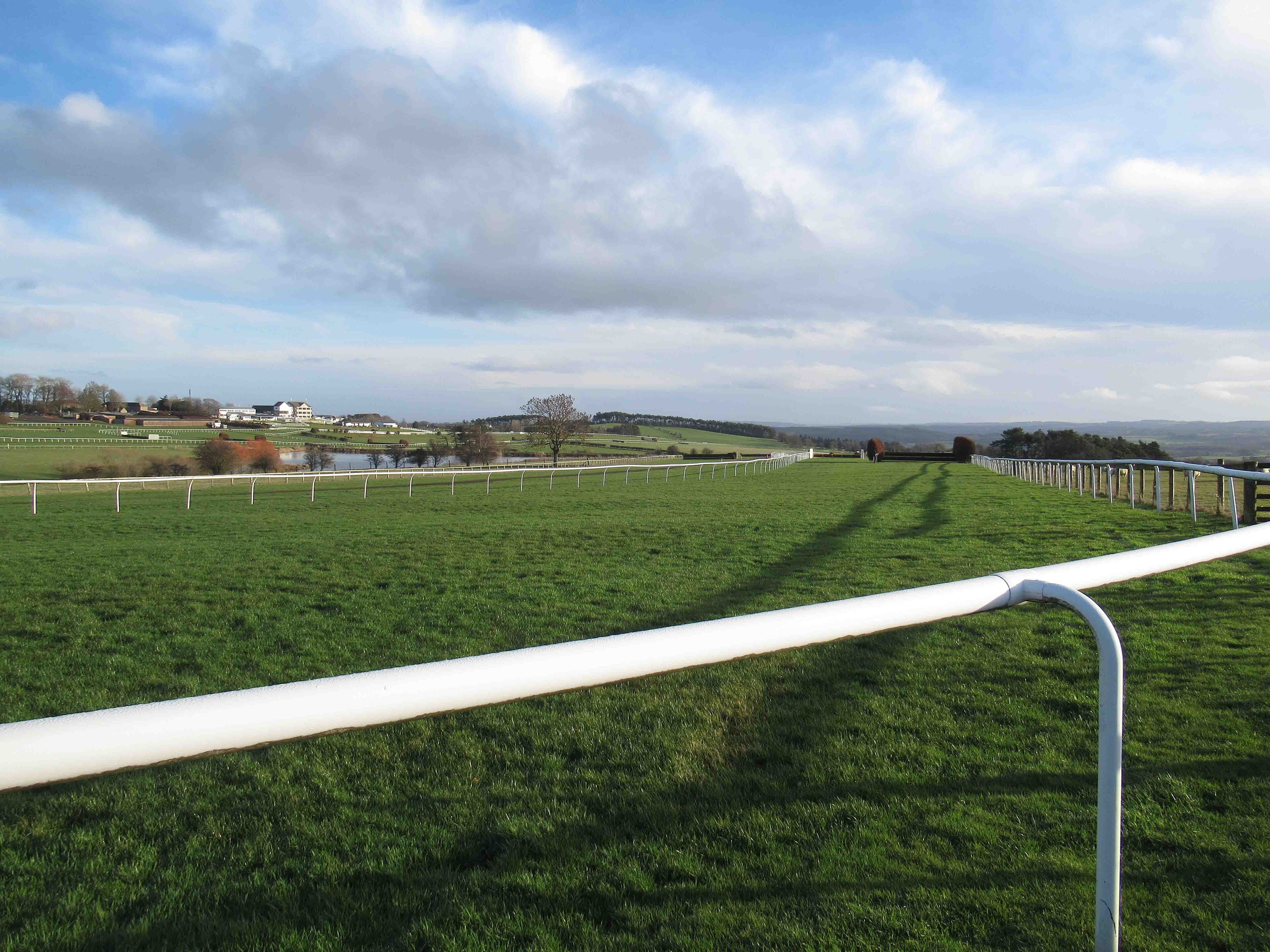 The white running rail at Hexham Racecourse curving away across close-mown turf, with birch fences by the bend and the grandstand and Tyne valley beyond.