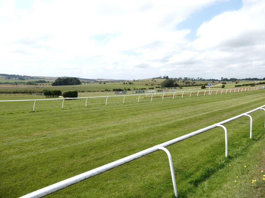The back straight at Hexham Racecourse in summer, white rails on both sides of the turf and the moor and hills beyond.