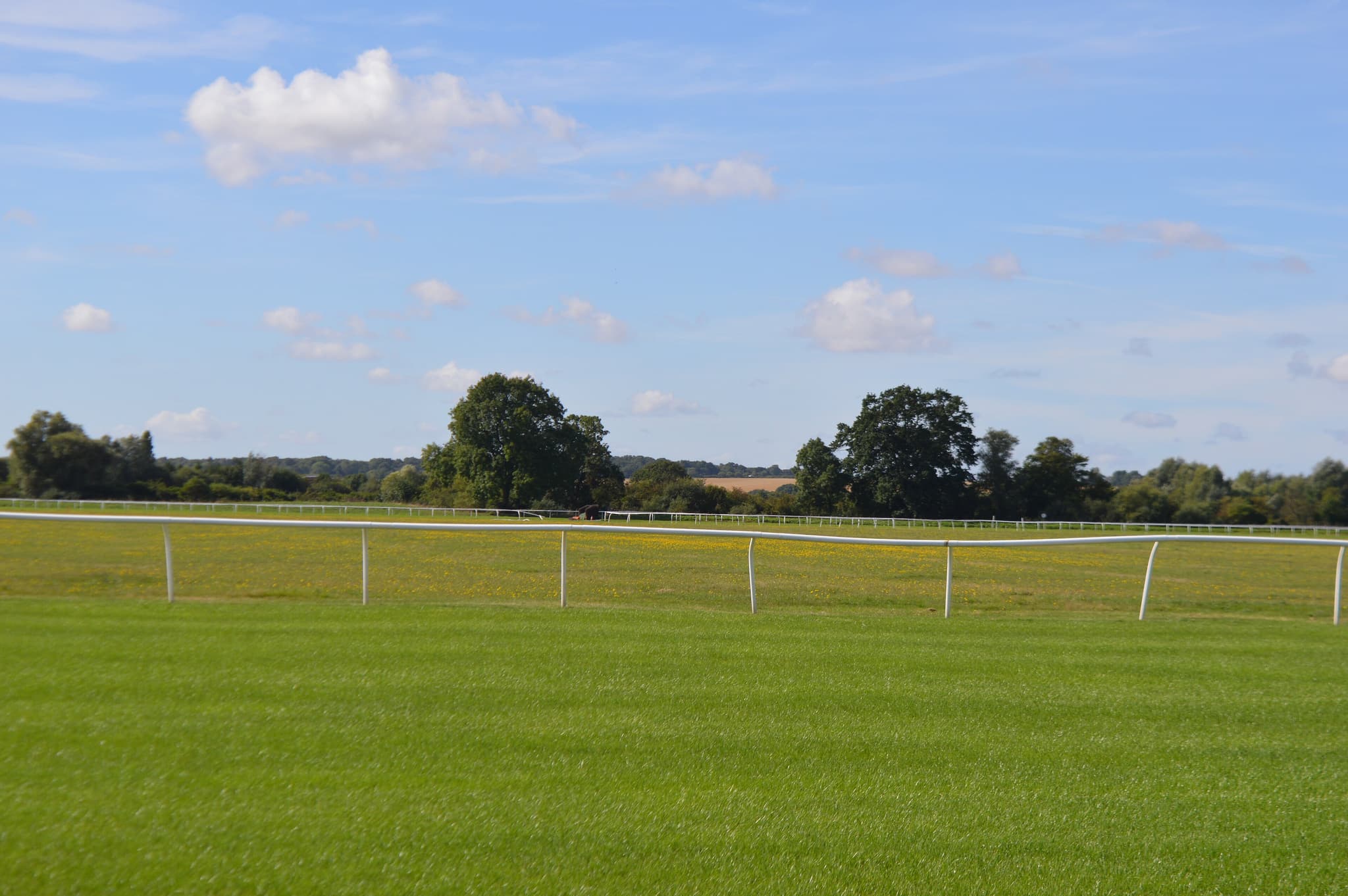 The turf course at Huntingdon in late summer, white running rails curving away across flat ground with trees and open farmland behind