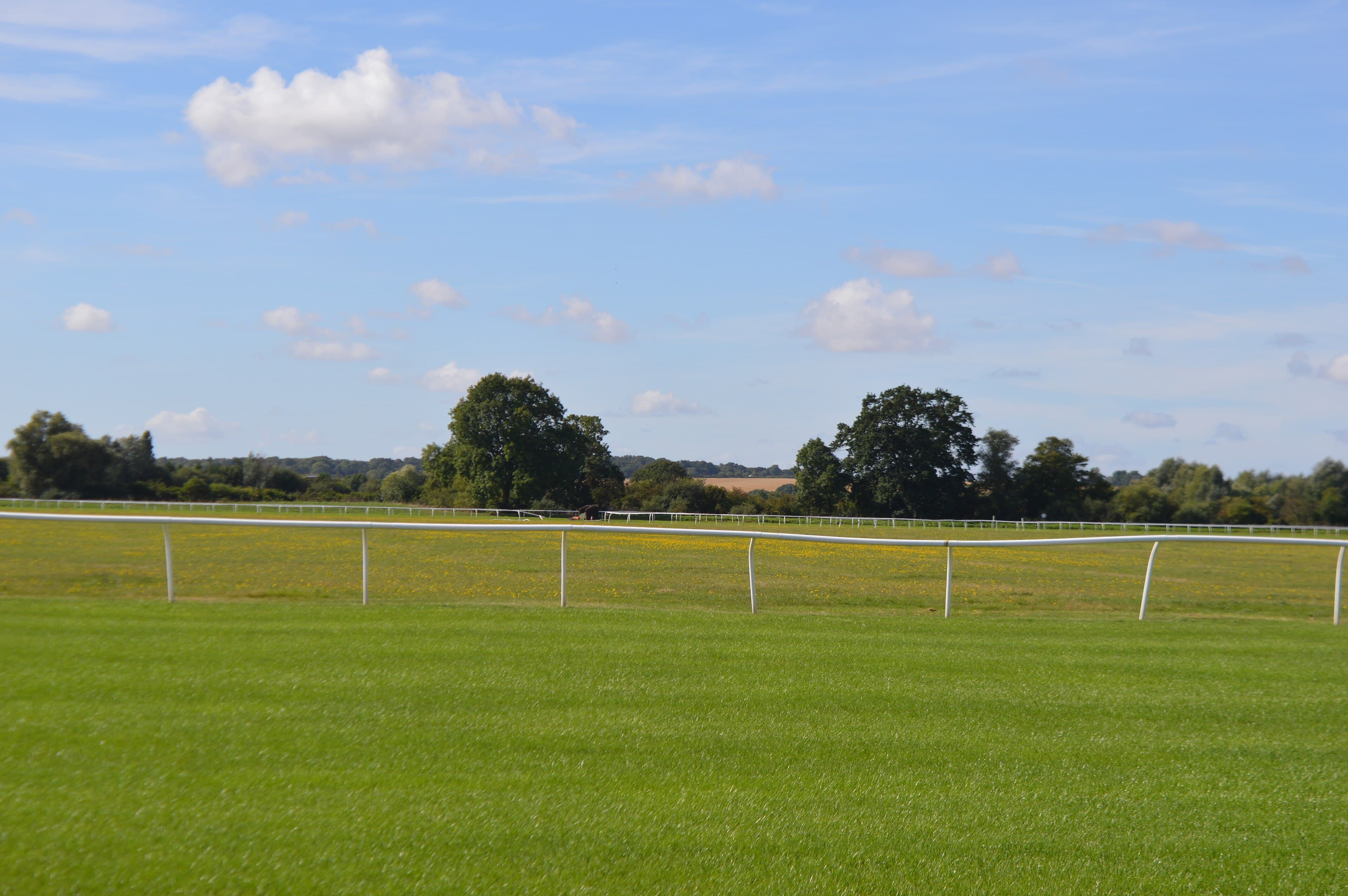 The turf course at Huntingdon in late summer, white running rails curving away across flat ground with trees and open farmland behind