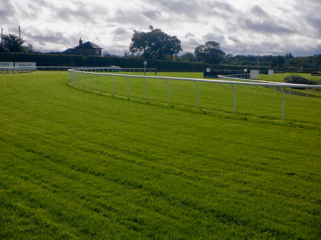 The rising home straight at Kelso, the white rail curving up towards the stands.