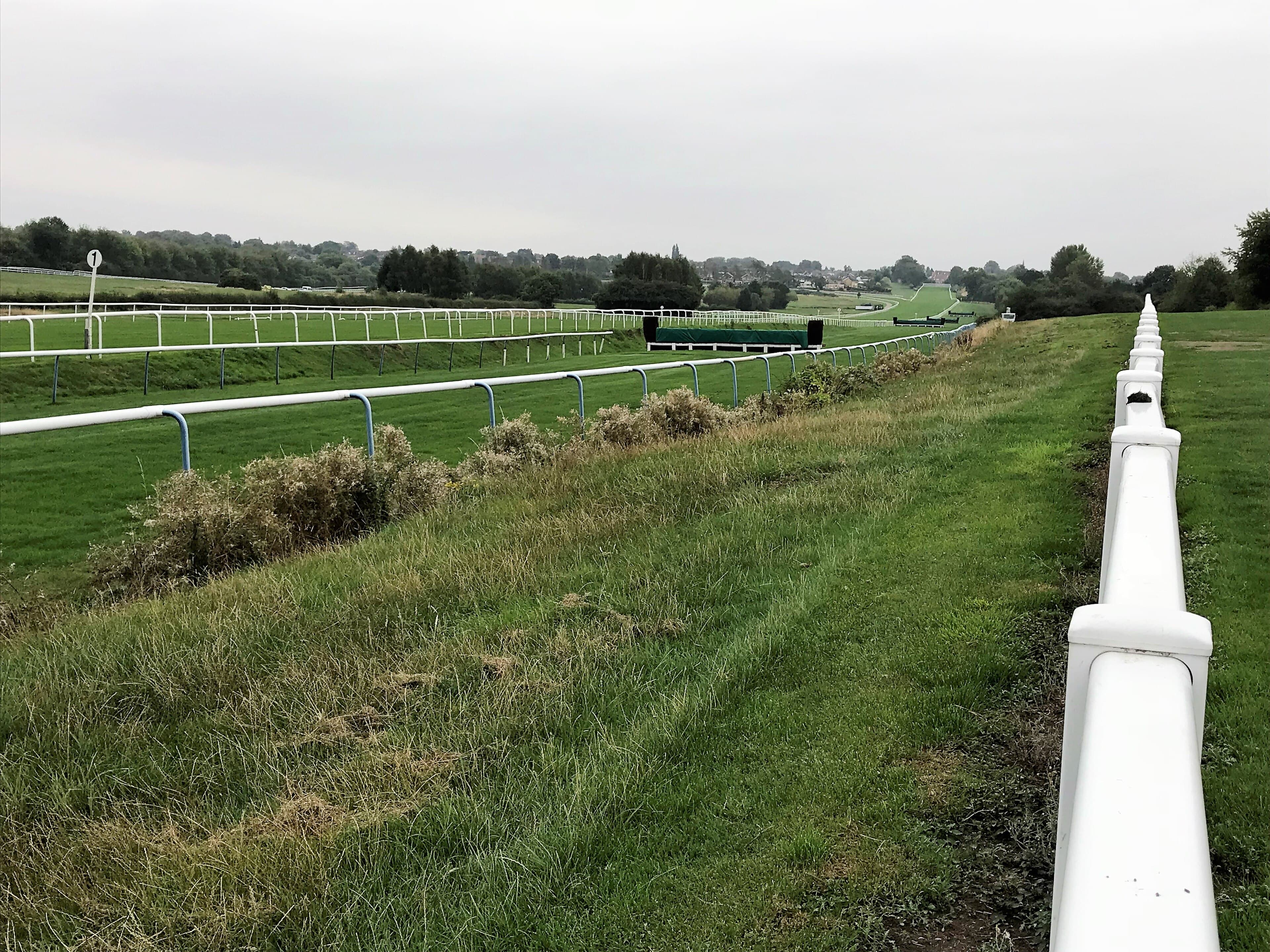 The turf course at Leicester Racecourse looking along the straight, with white running rails, a green-topped chase fence in the middle distance and houses on the hill beyond.