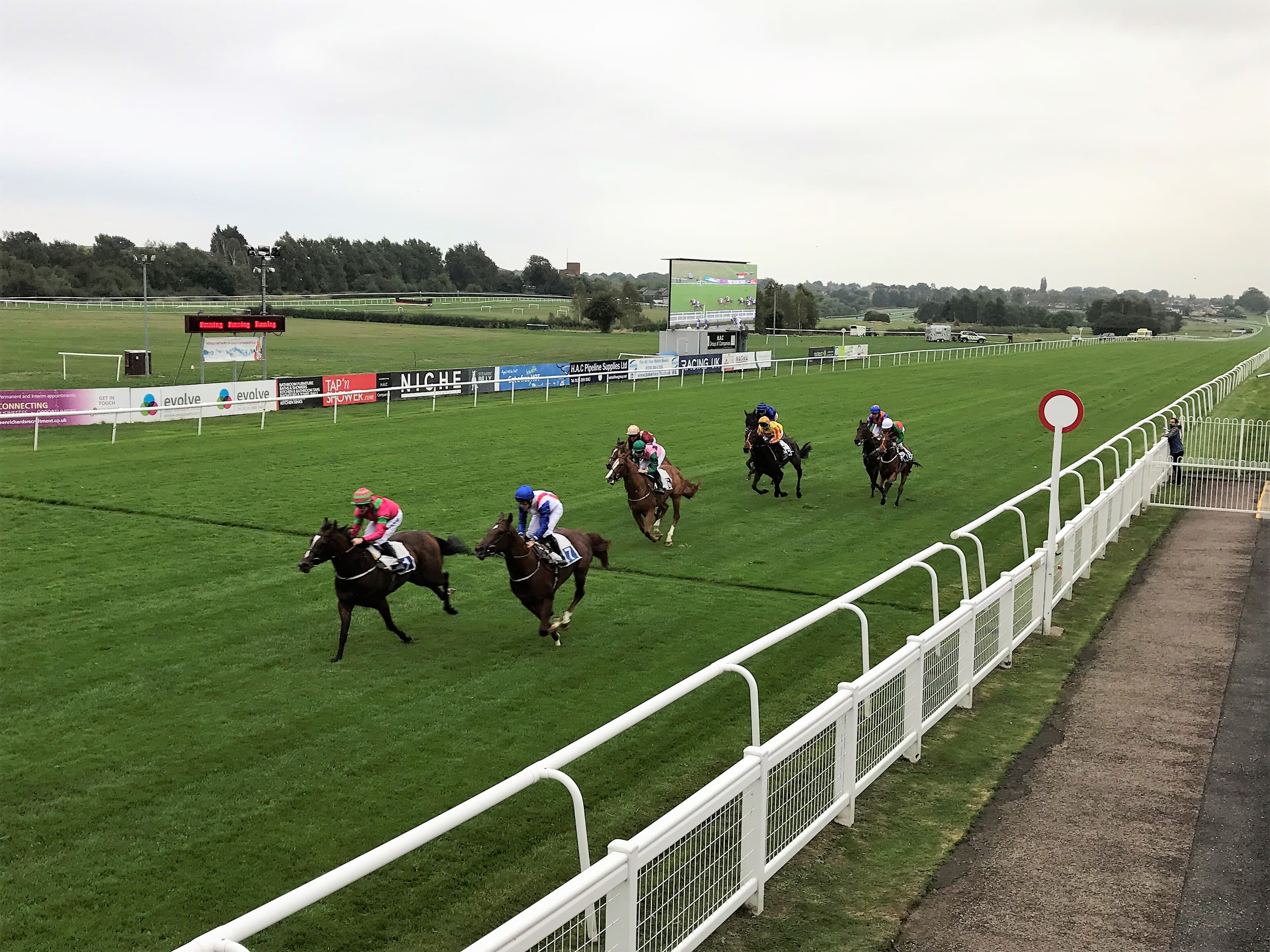 A field of runners spread across the turf in the closing stages of a flat race at Leicester, seen from the stands side with the big screen and advertising boards on the far rail.