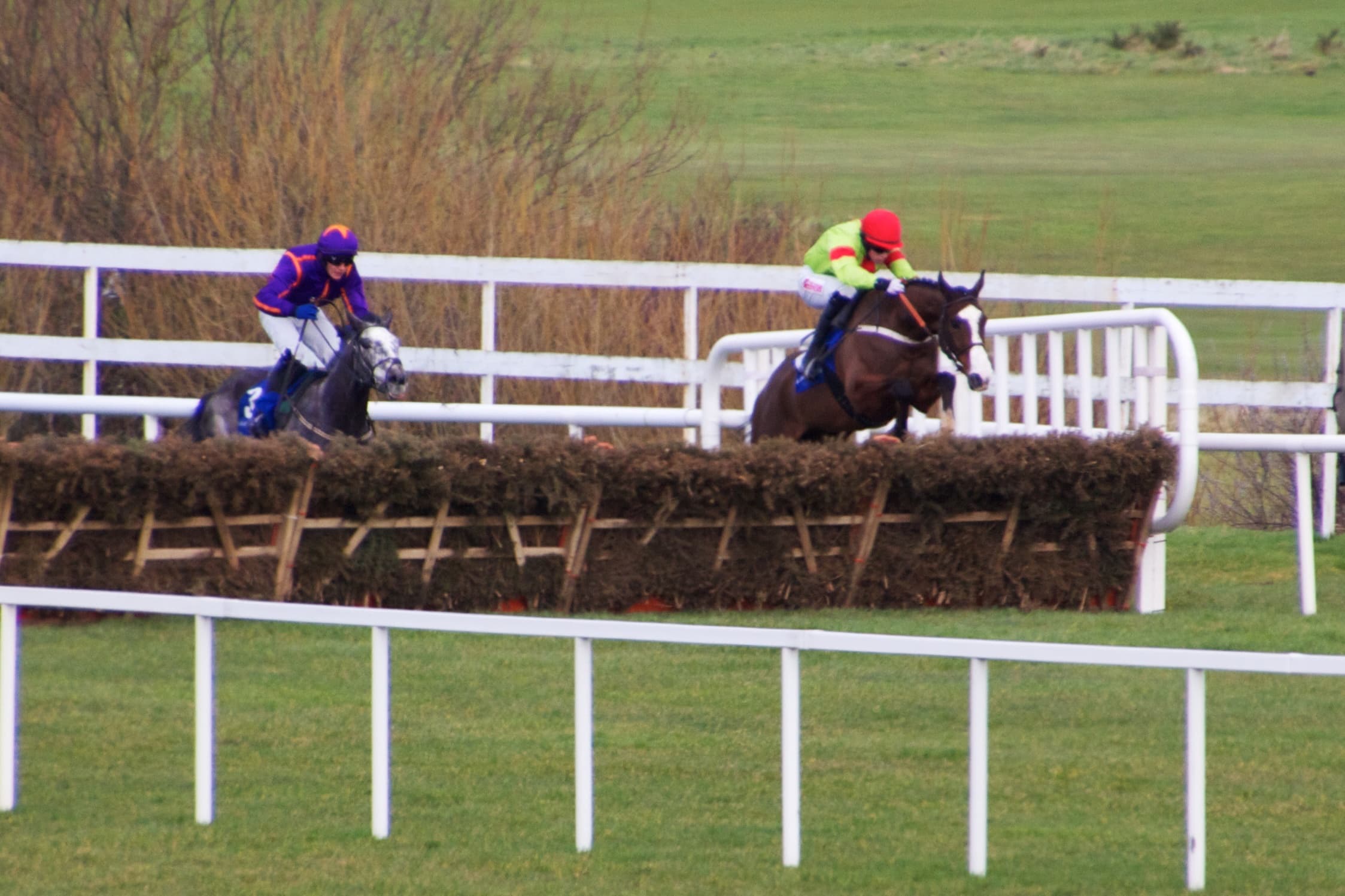 Two horses jump a hurdle side by side at Leopardstown, the white running rail curving away behind them.