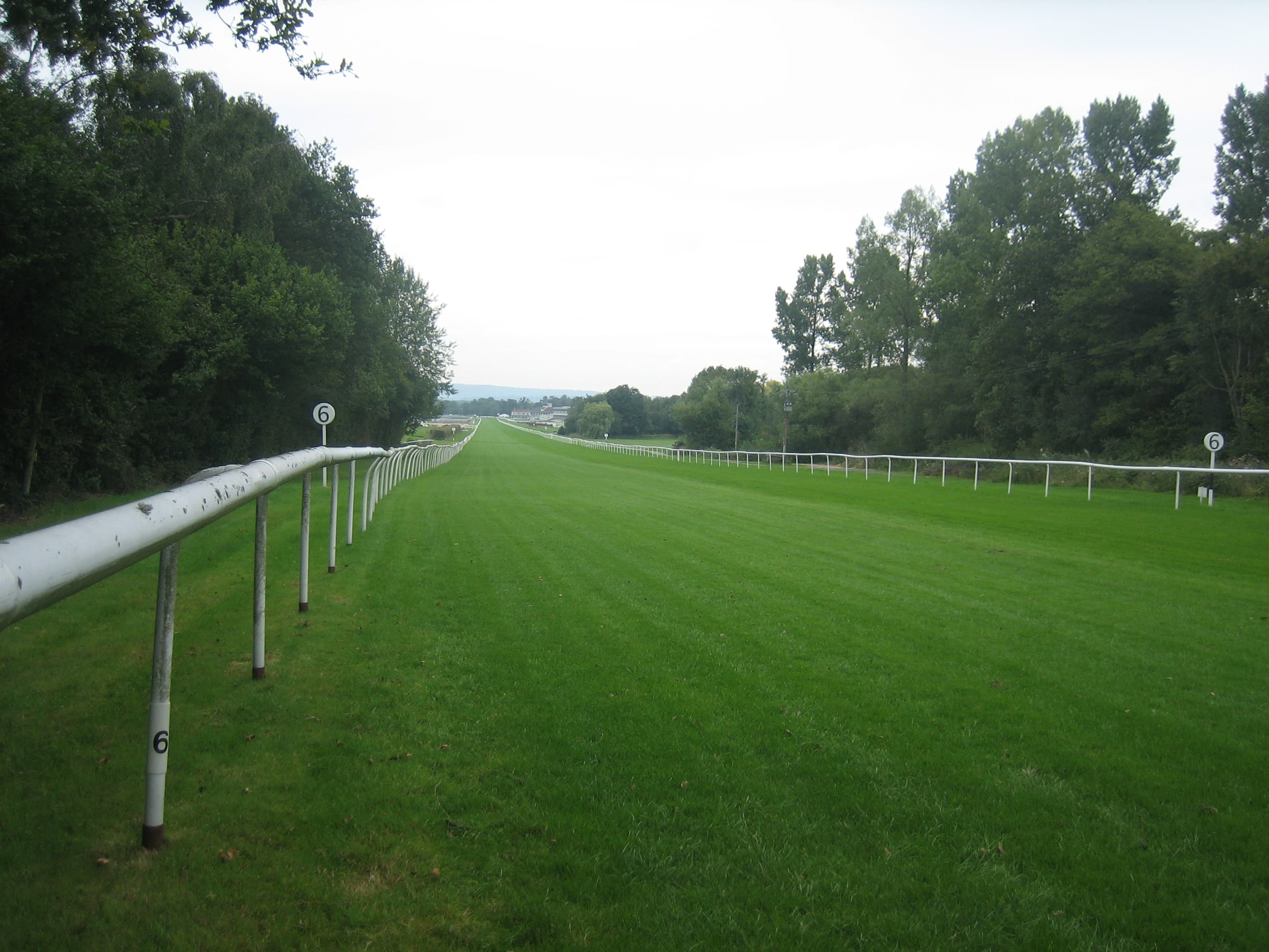The six-furlong marker on the turf course at Lingfield Park, the rail curving left towards the distant grandstand on an overcast late-summer day.
