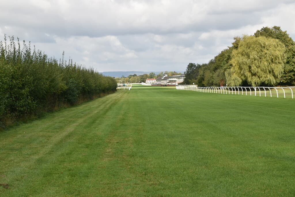 Looking down the turf course at Lingfield Park towards the grandstand in the distance, with a tall hedge on the left and a willow on the right.