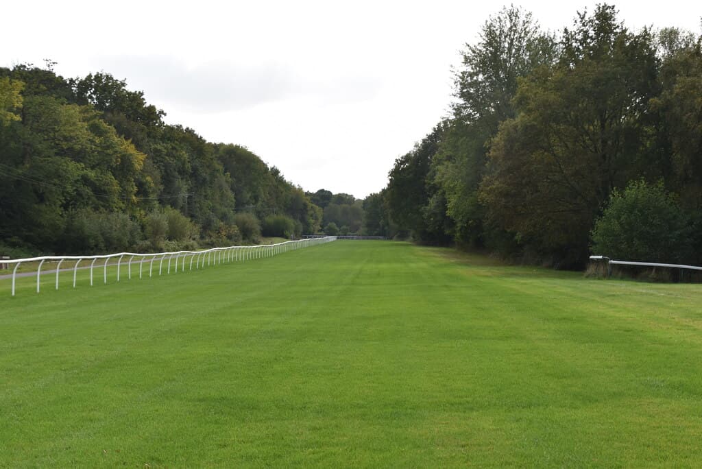 A wooded stretch of the turf course at Lingfield Park, the mown track running between banks of trees with the white running rail on the left.