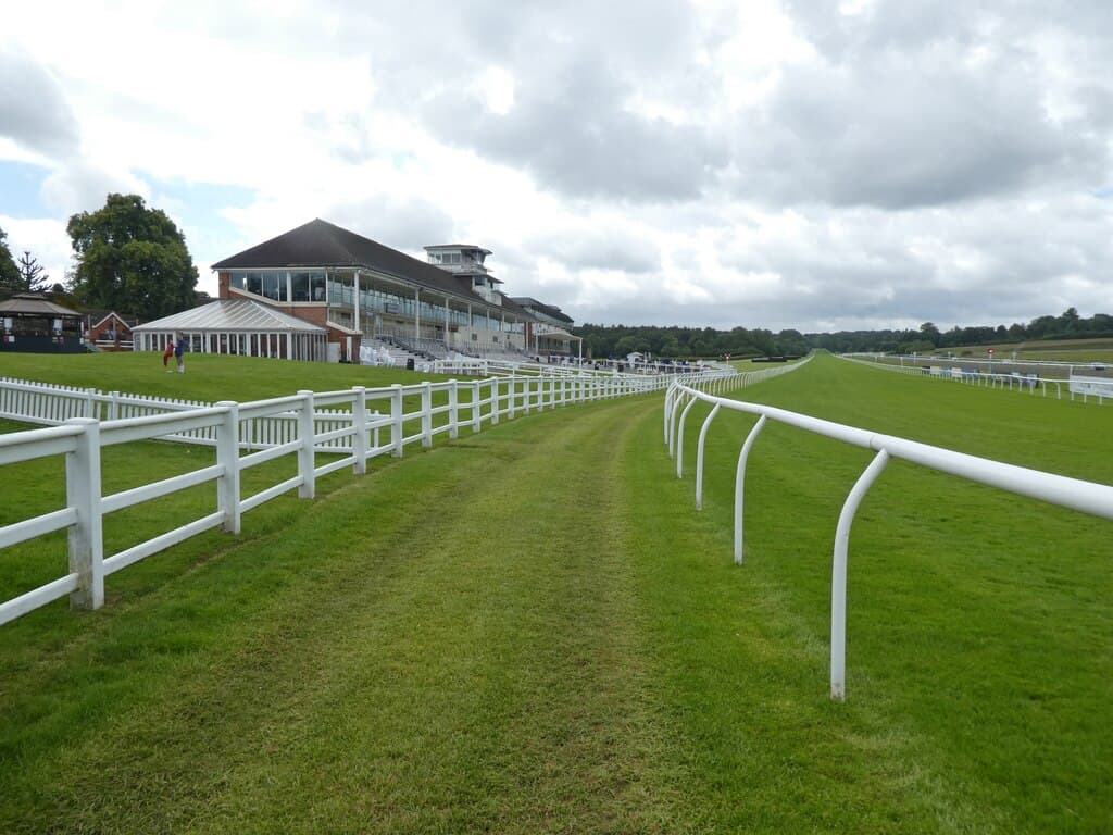 The grandstand at Lingfield Park and the empty home straight, white rail running away towards the bend under a heavy summer sky.