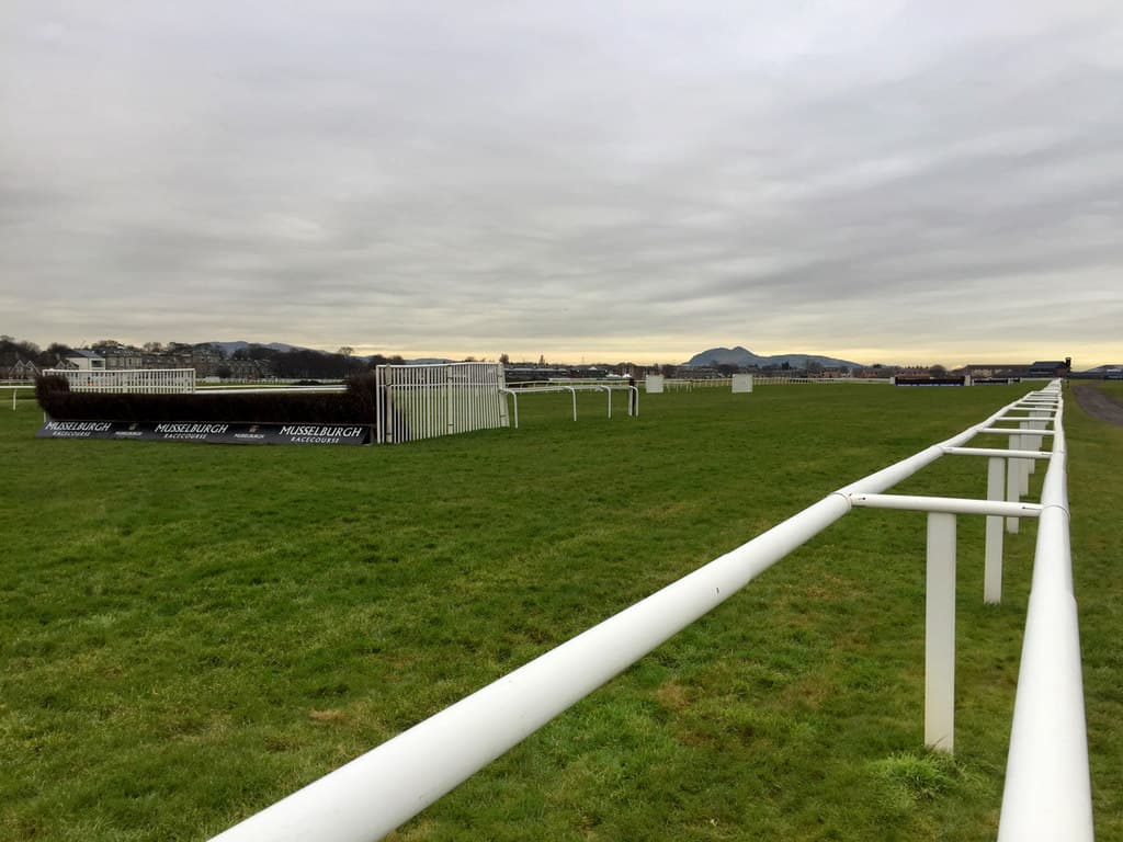 A birch steeplechase fence on the jumps course at Musselburgh, with the Lammermuir skyline in the distance.