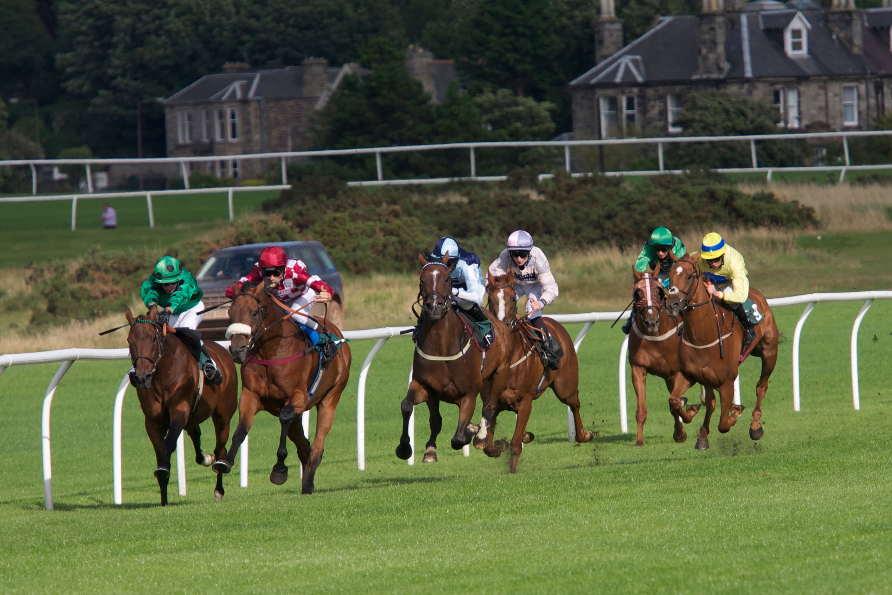 A field of six runners racing towards the camera on the turf at Musselburgh, with the stone villas of the town behind the far rail.