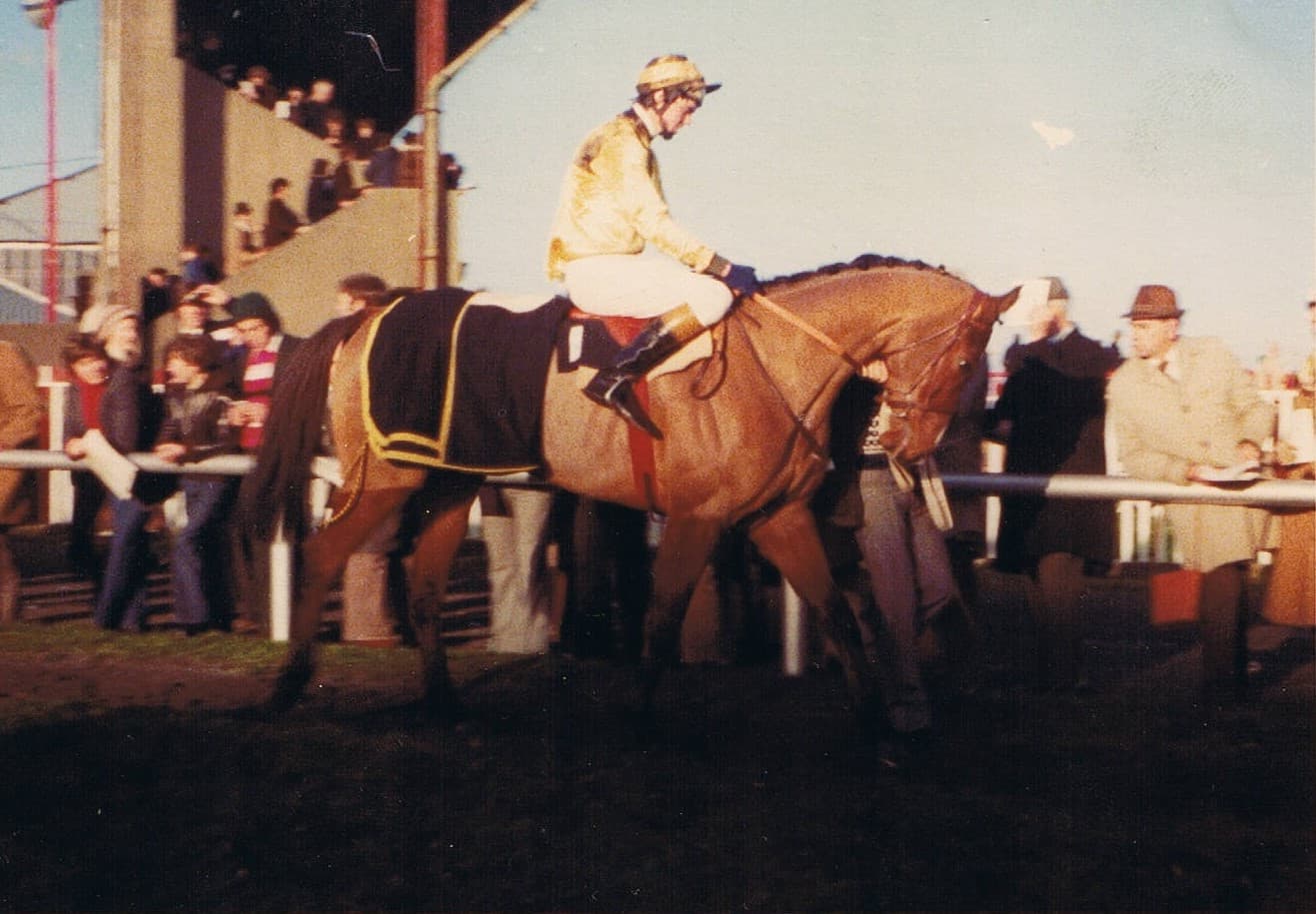 A period colour photograph of a horse and rider walking the parade ring at Naas, spectators in coats along the rail and the old stand behind.