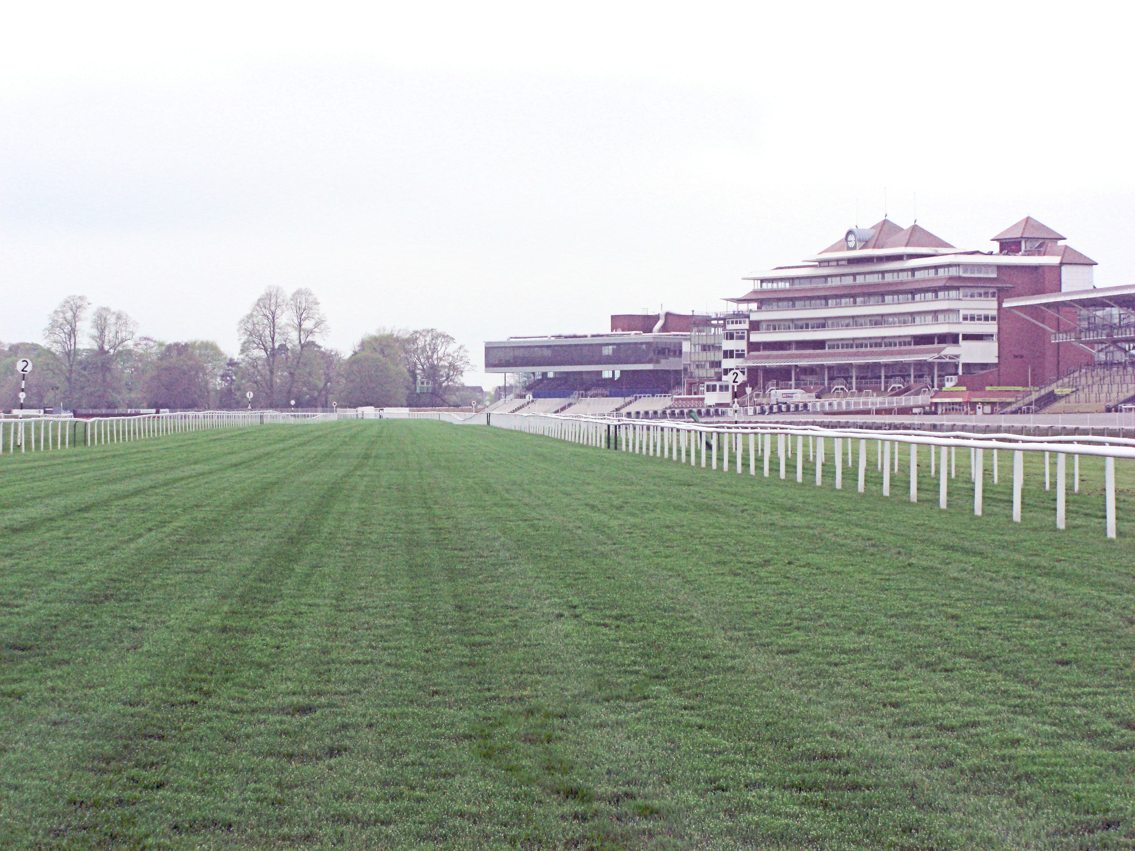 The final two furlongs at Newbury, mown turf running up to the Berkshire stand under a grey sky.
