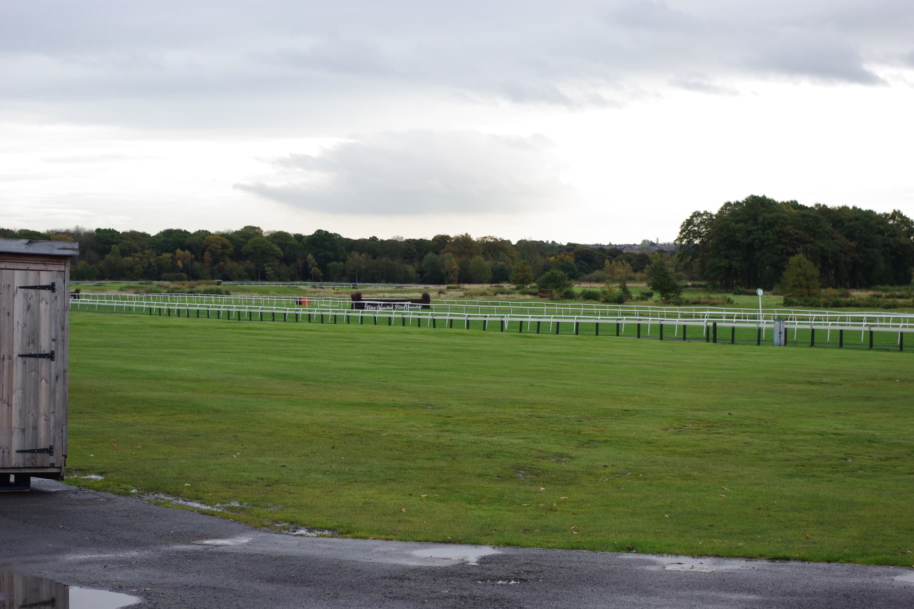 The turf course at Newcastle Racecourse on an autumn afternoon, white running rail curving away towards the trees of Gosforth Park.
