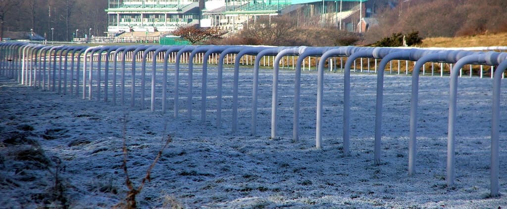 Frost on the turf at Newcastle Racecourse, a line of white running rail leading back towards the grandstand.