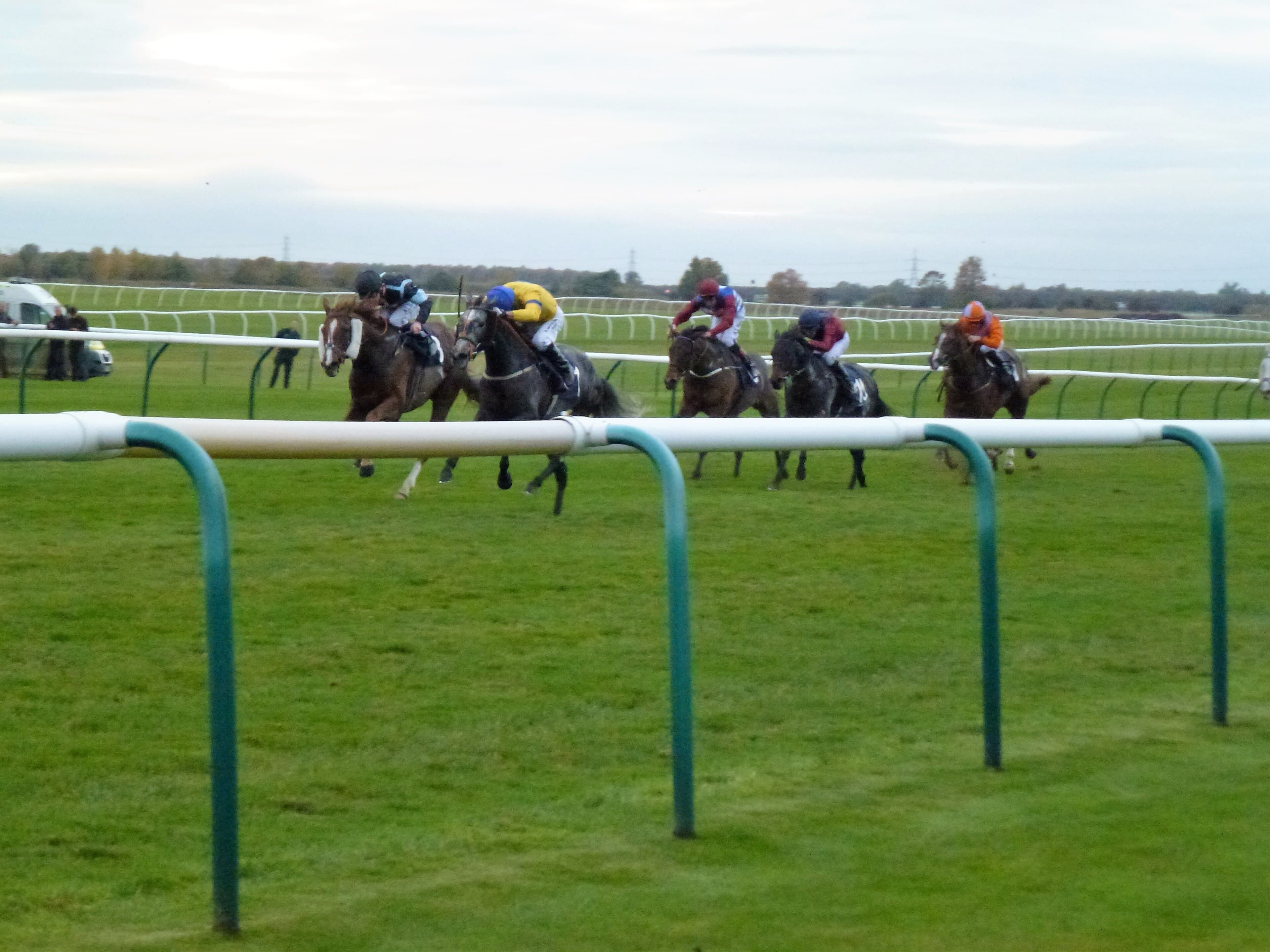 Five runners racing side on up the Rowley Mile at Newmarket, the green rail in the foreground.