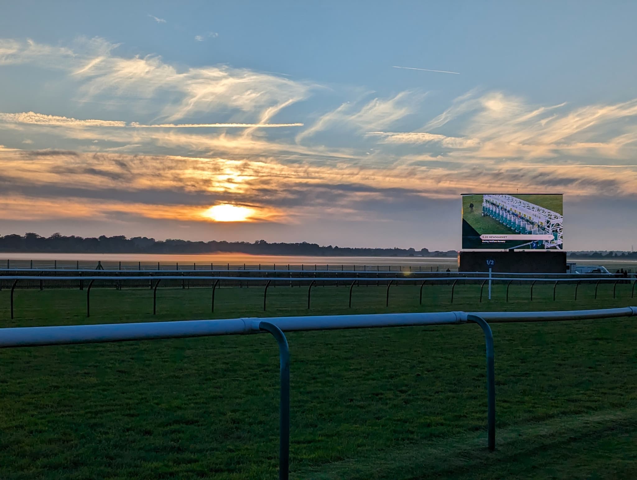 Newmarket Racecourse: Complete Guide