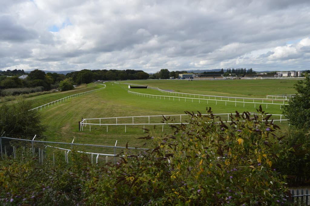 The back straight at Newton Abbot seen over a hedge, a plain fence on the far rail and the stands along the skyline.