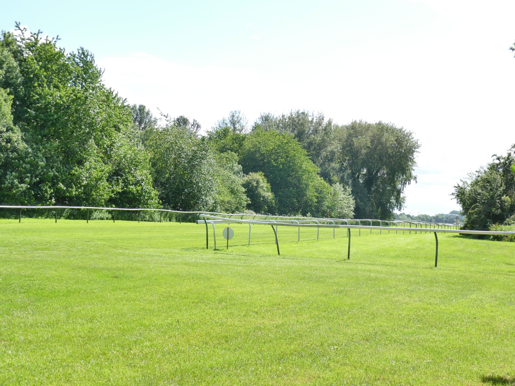 The measured mile at Nottingham Racecourse, close-mown turf running away to the rail and a line of summer trees.